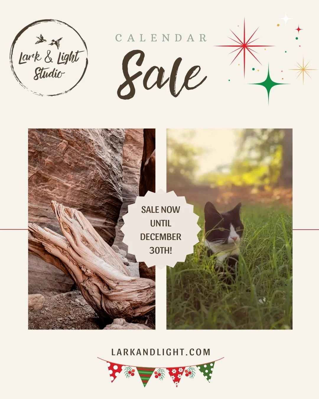 Small Business Saturday you say? I just so happen to have some groovy calendars for sale. Treat yourself (or your favorite human) to a Lark and Light calendar. And a big, huge THANK YOU to those of you who have already purchased one (or a few!).

Tap