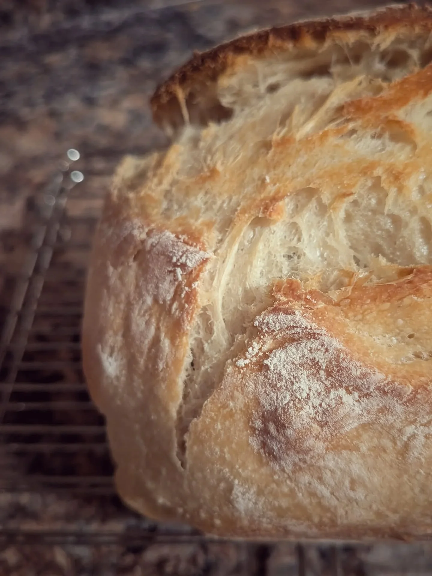Loaf pan, maiden voyage.