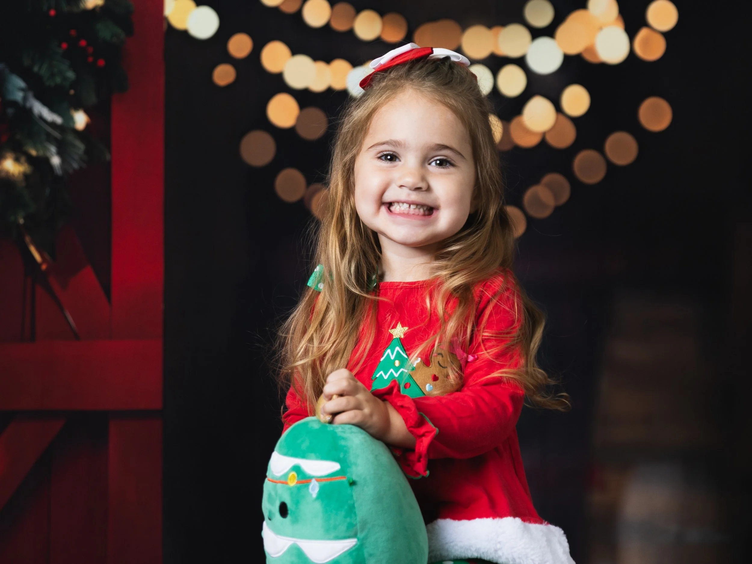Rowan_Holiday_Heather_Wolf_Turner_Lark_and_Light_Studio_2025-1.jpg