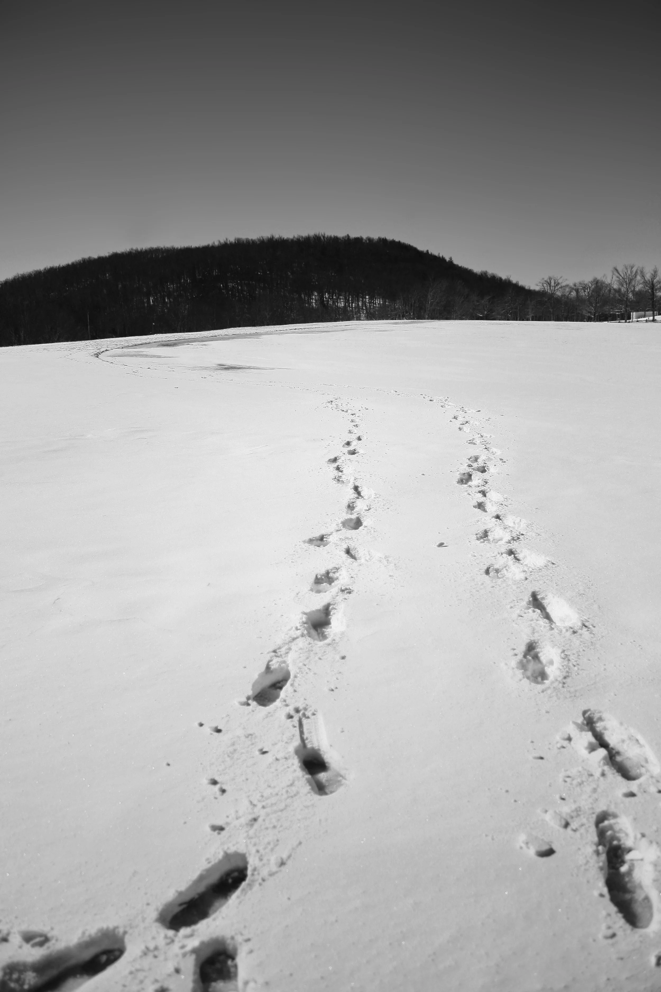 IMG_7870_1 copy 4.jpg