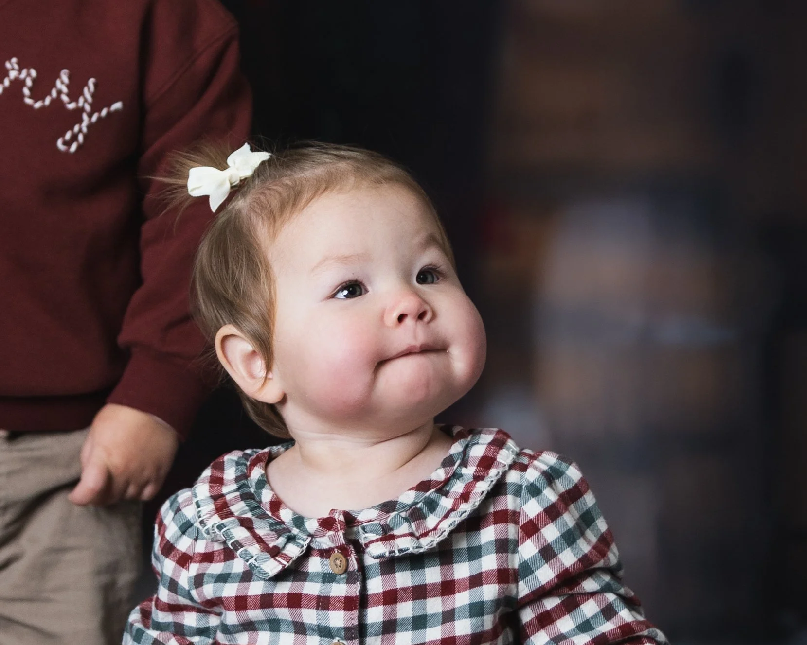 Michelle_Grandbabies_Holiday_Heather_Wolf_Turner_Lark_and_Light_Studio_2025-6.jpg