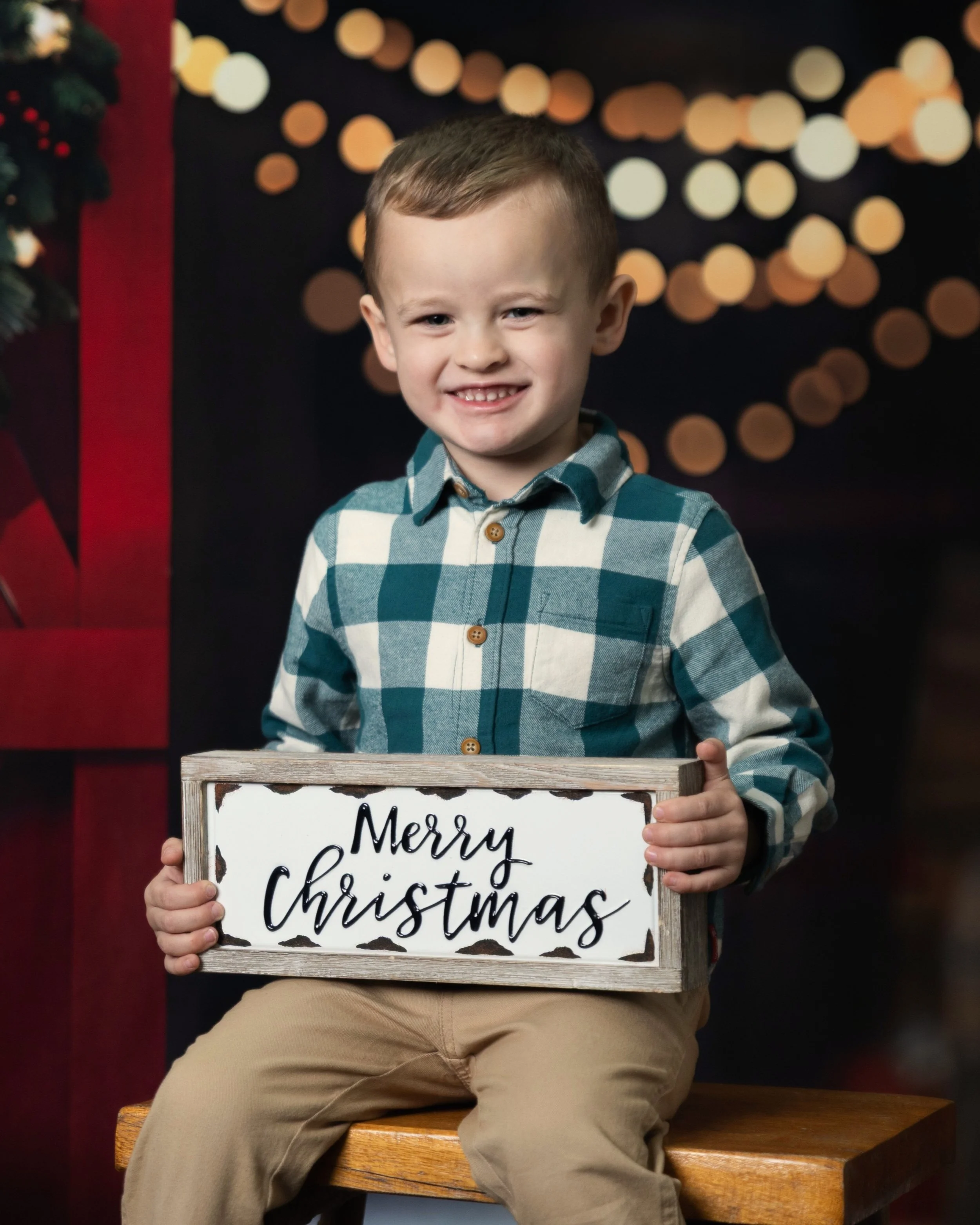 Deacon_Holiday_Heather_Wolf_Turner_Lark_and_Light_Studio_2025-4.jpg