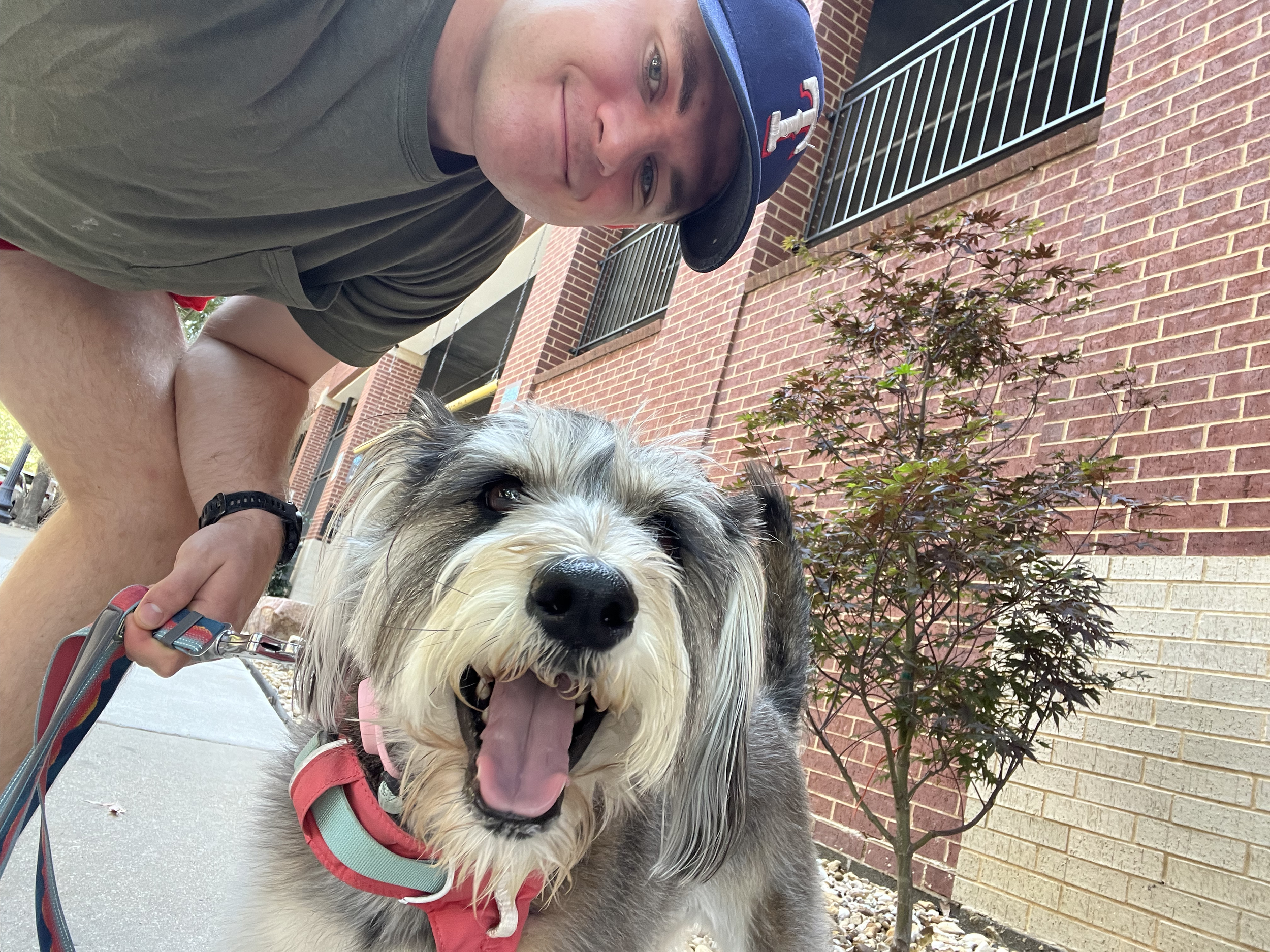 A man in a gray T-shirt and a blue baseball cap crouches next to a happy Australian Shepherd dog with its tongue out on a leash in front of a brick building with a small tree.