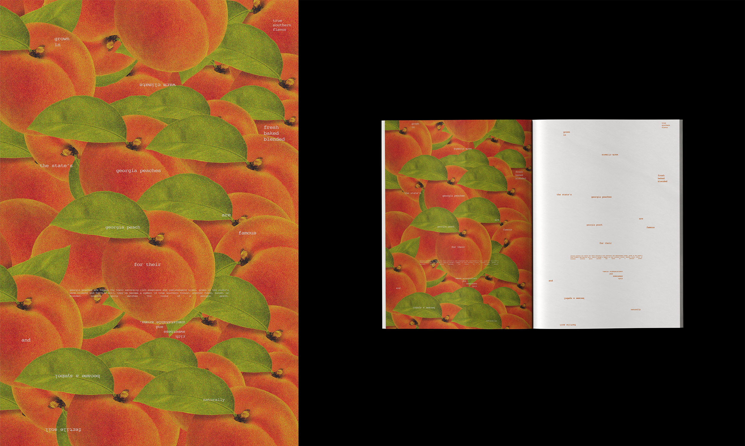 peaches portfolio.png