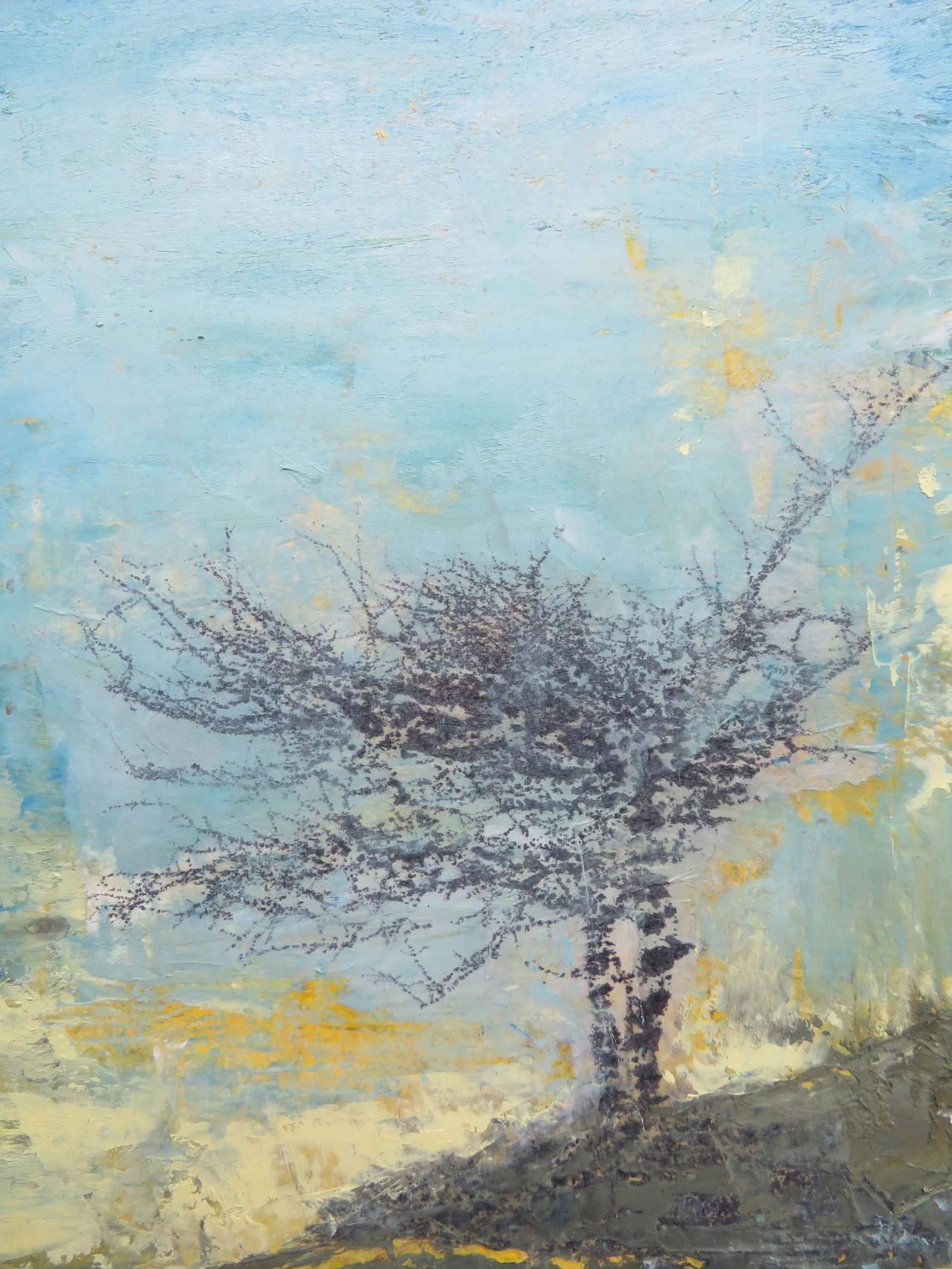 'Knocknarea Tree I' - Oil, beeswax and mixed media (Private collection)