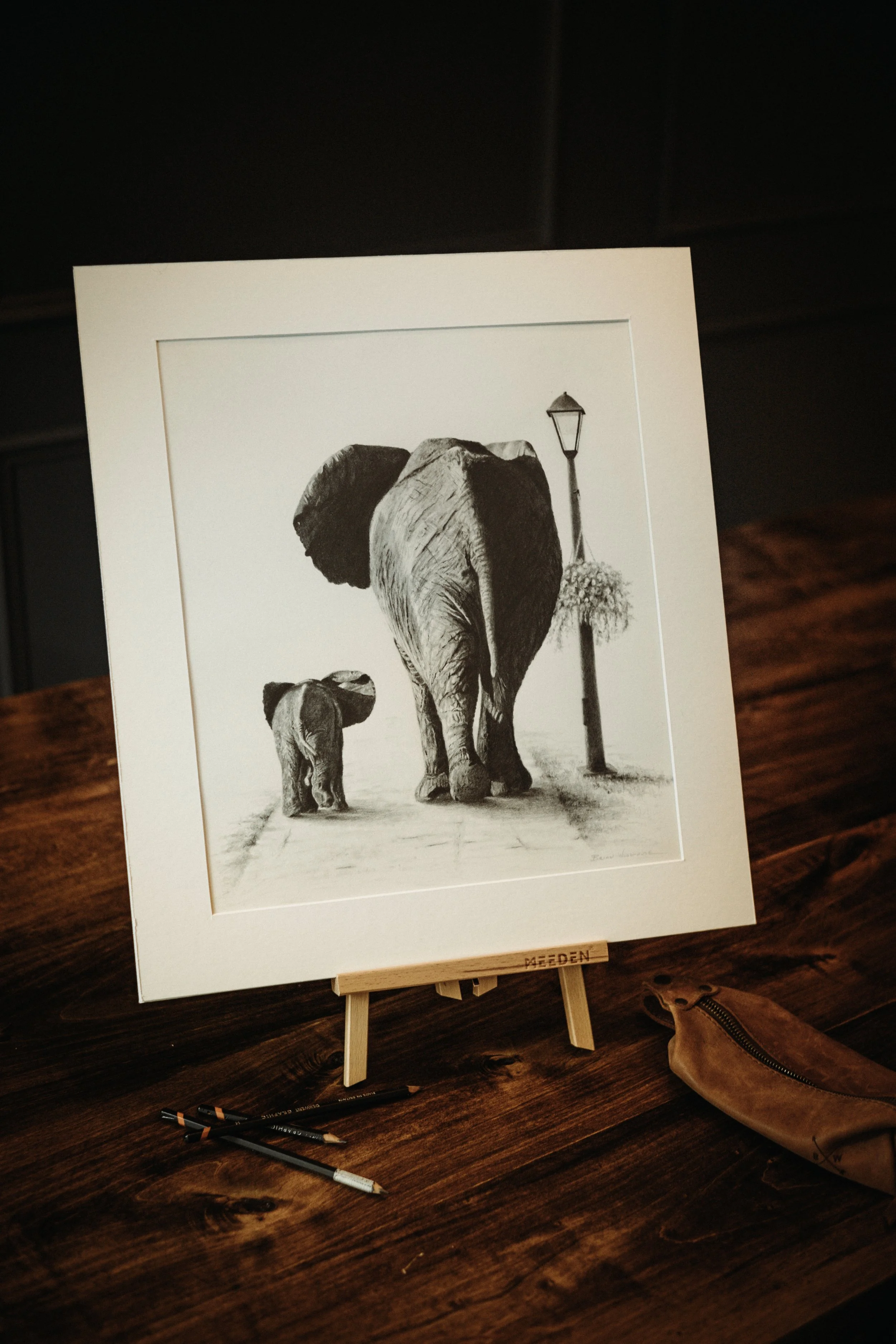 Elephants in the Park