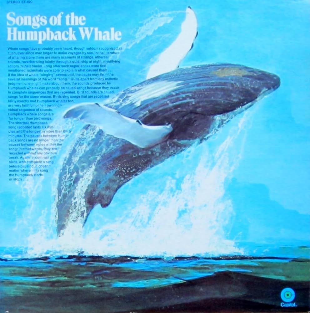 jaws 6.jpg