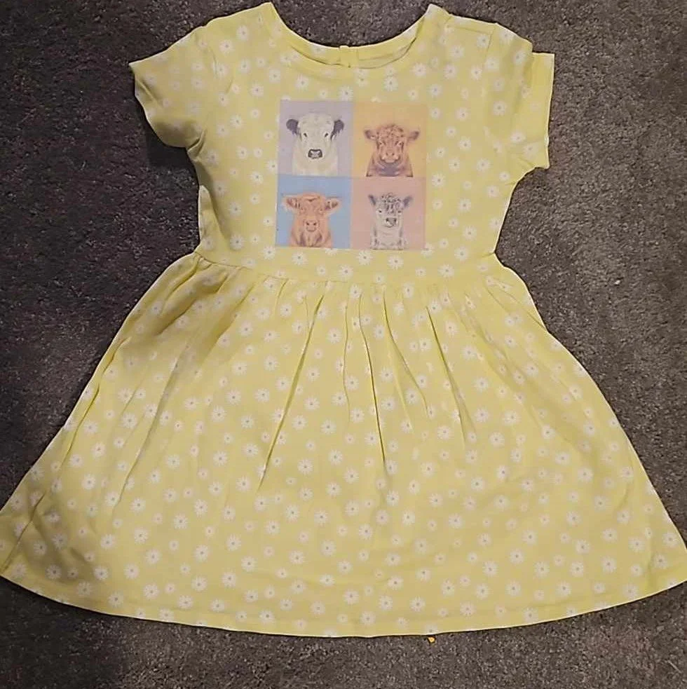 HTV dress.jpg