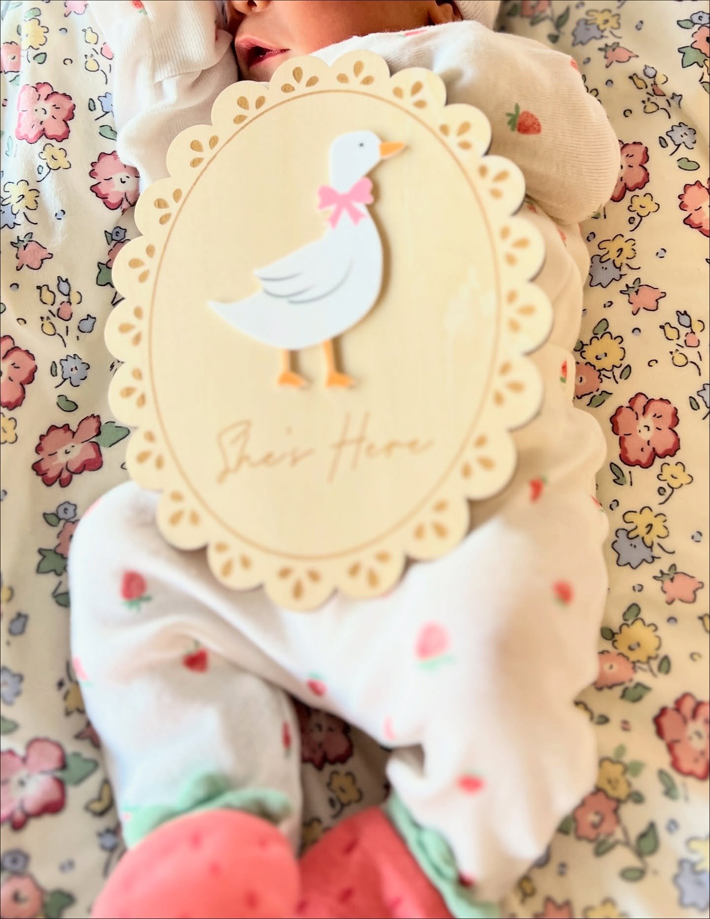 ✨ She&rsquo;s here, besties. ✨
After having the hardest pregnancy and being sick right up until the very end, I finally got to meet the baby my soul yearned for. She was worth every tear, every slowdown, and every intentional moment of choosing our h