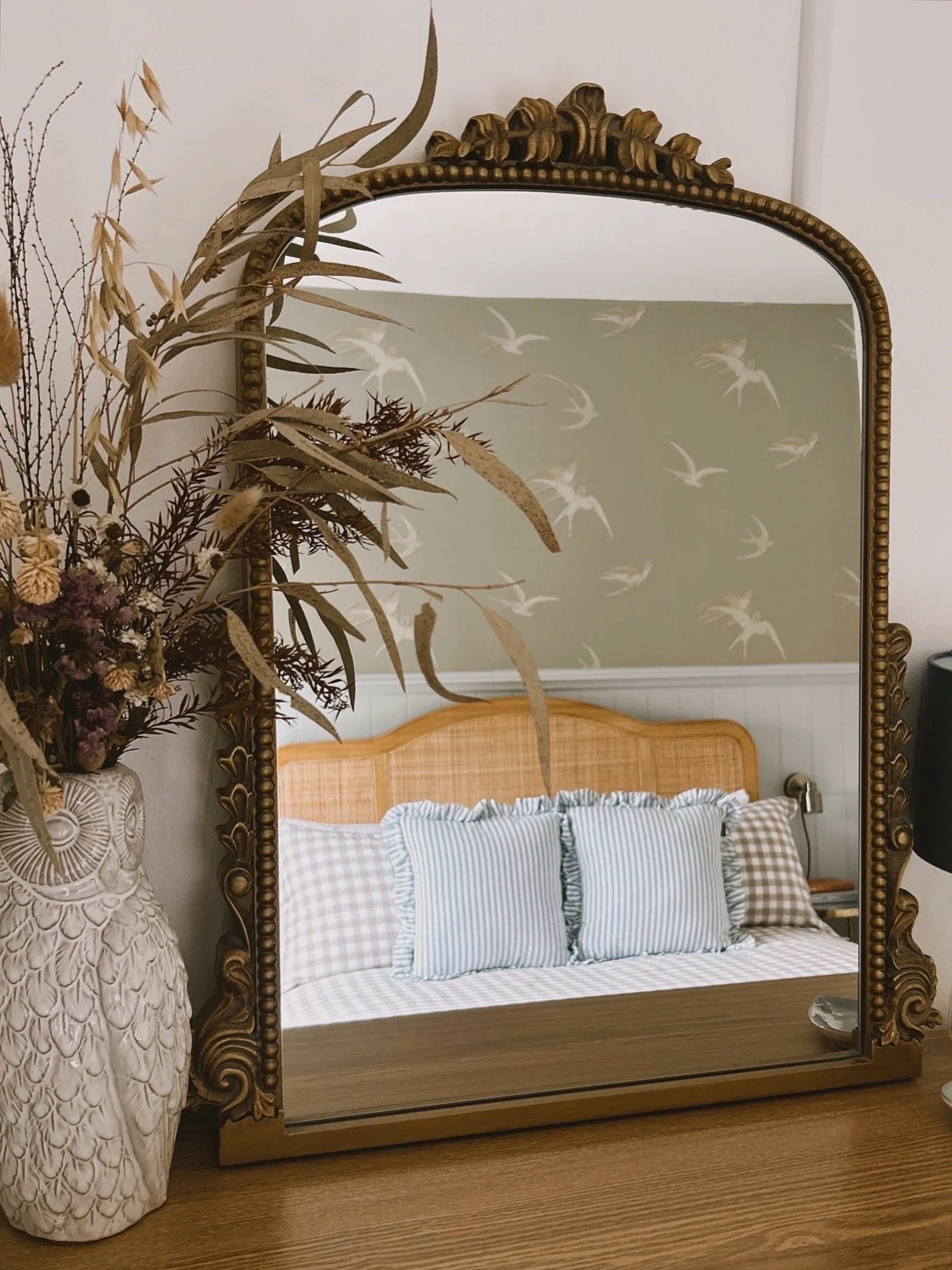 swallows mirror warm.JPG