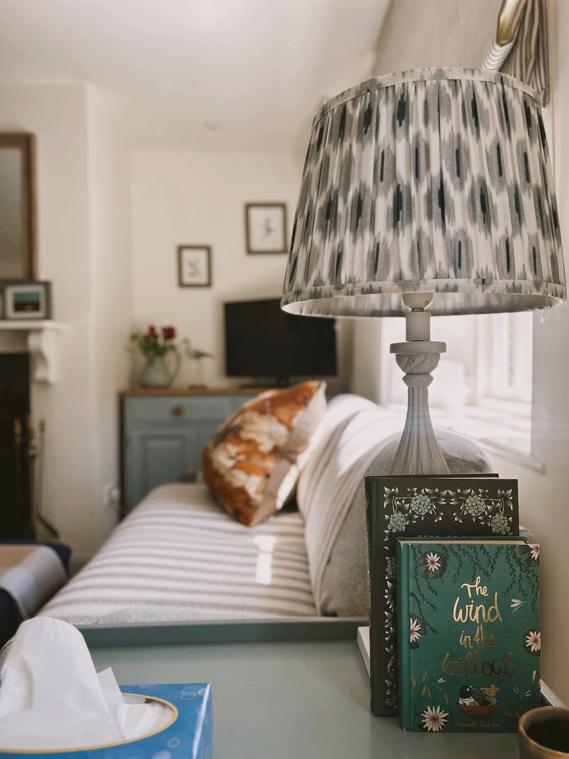 Close-up of a table with tissues in a blue tissue box, a mug, and two books titled 'The Wind in the Willows' and another book with a floral design, in front of a sofa with striped fabric and a decorative cushion, in a cozy living room.