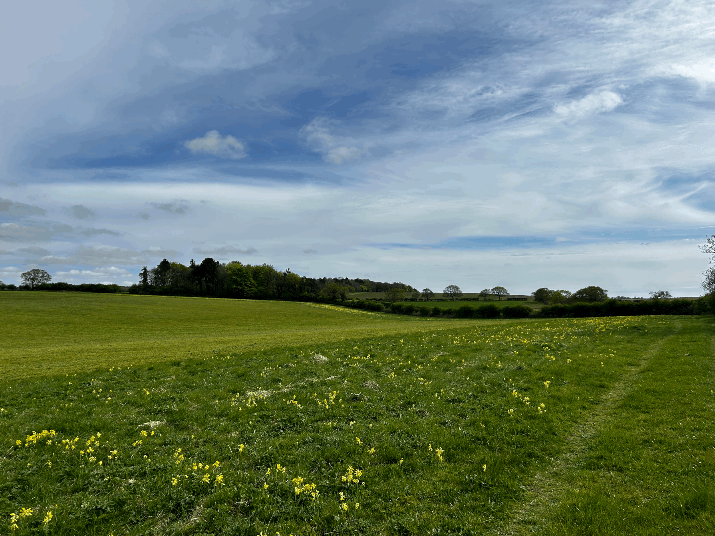 Sustainable Stays at Flock Cottage.
