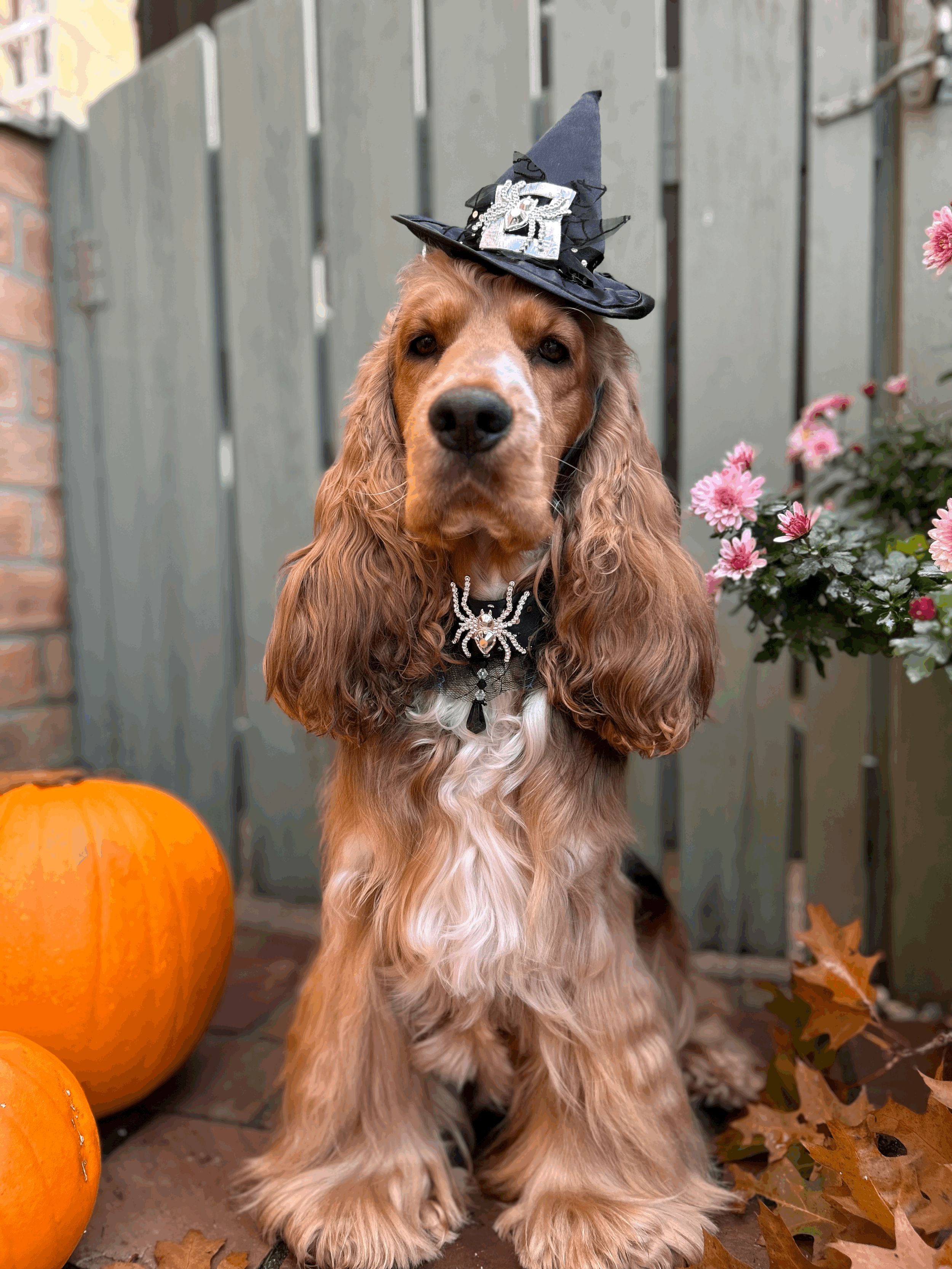 Spooky Season in North Norfolk. Halloween Events Near Flock Cottage.