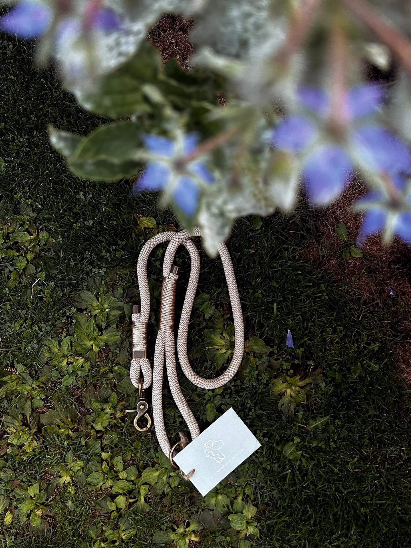 Your four-legged friends deserve a little Norfolk luxury too!๐พ
As a Flock Cottage guest, you’ll enjoy an exclusive discount on beautifully handcrafted dog accessories made right here in Norfolk by our talented friend Beth- from classic rope l
