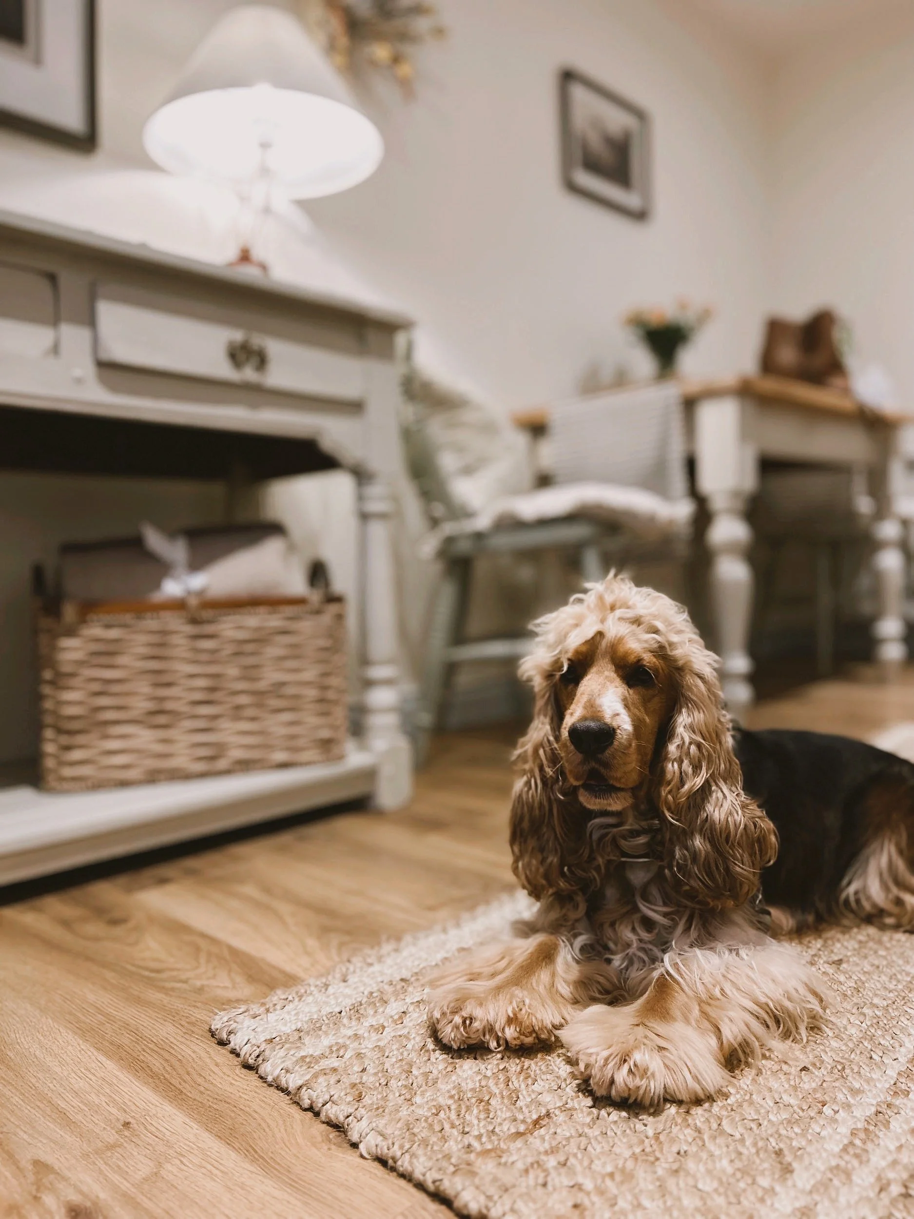 AUTUMN CHESTER ENTRANCE .JPG