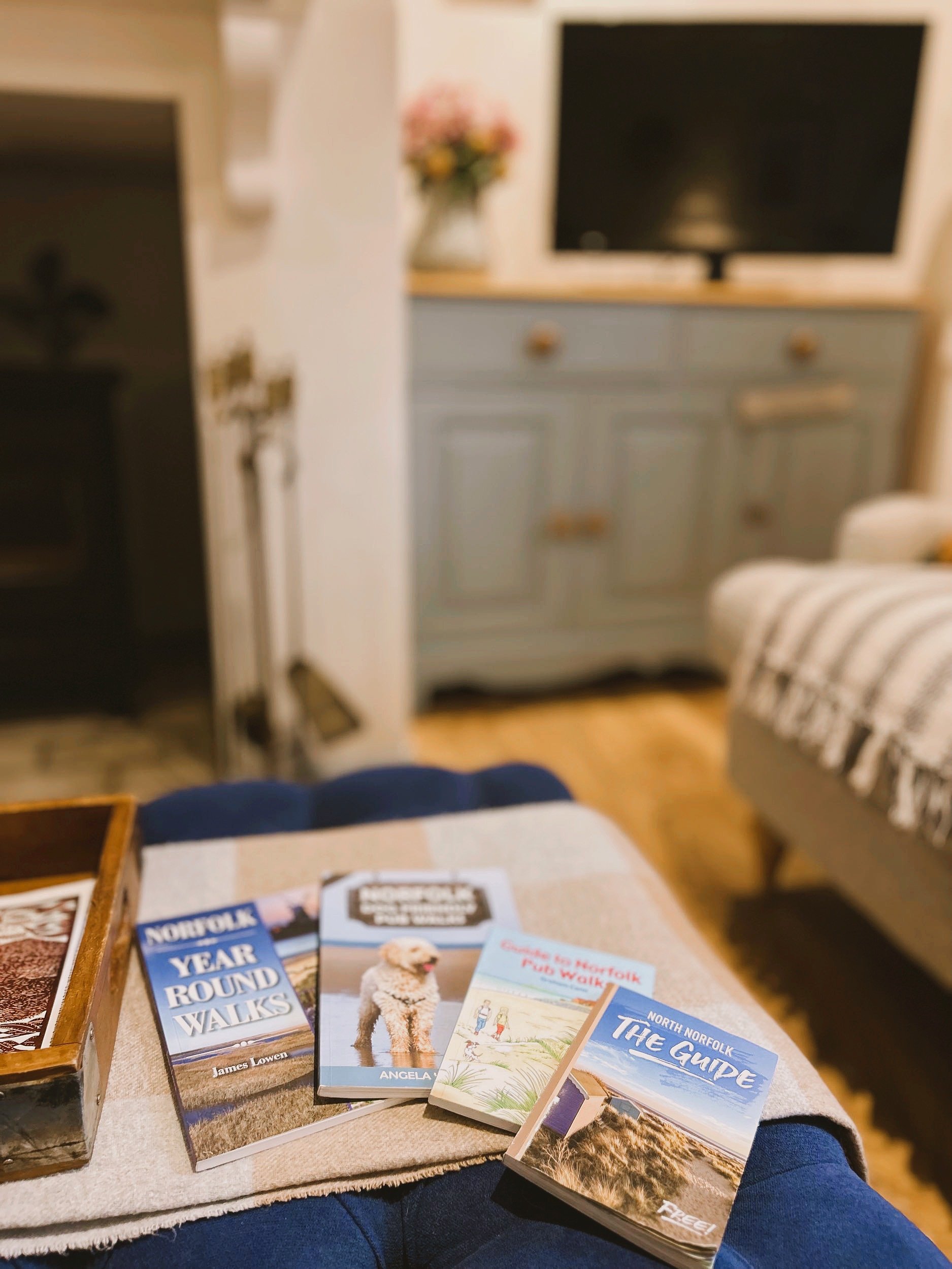 NORFOLK GUIDES JPG.JPG