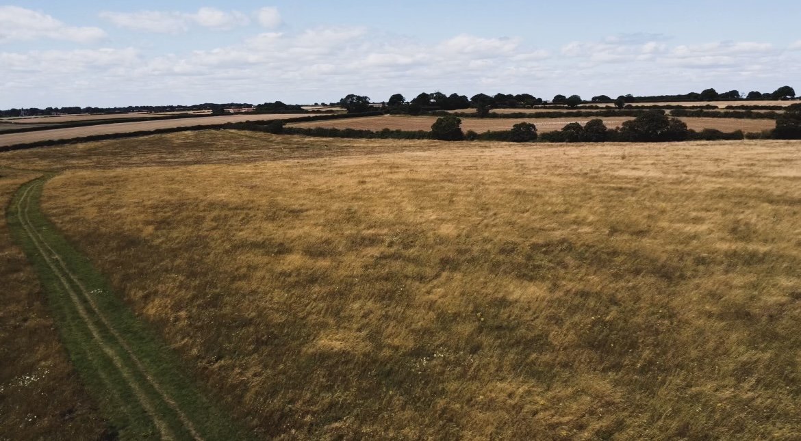 Explore the Best North Norfolk Walks Around Flock Cottage, Dog-Friendly rambles in Norfolk