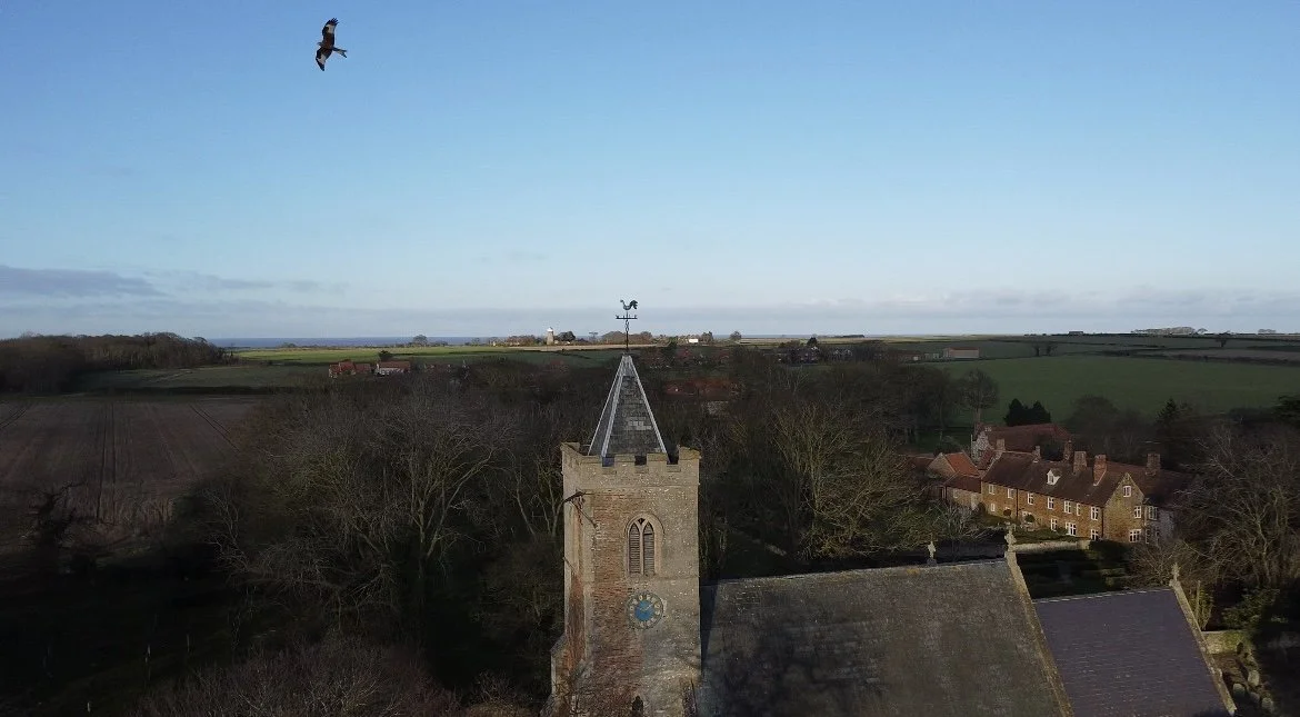 red kite over church in ringstead .jpg