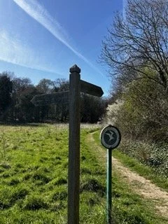 R downs HEIC Small.jpeg