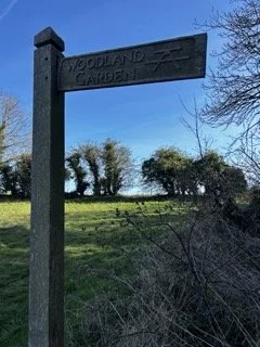 ring downs Small.jpeg