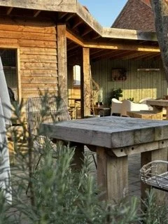 gin trap garden  Small.jpeg