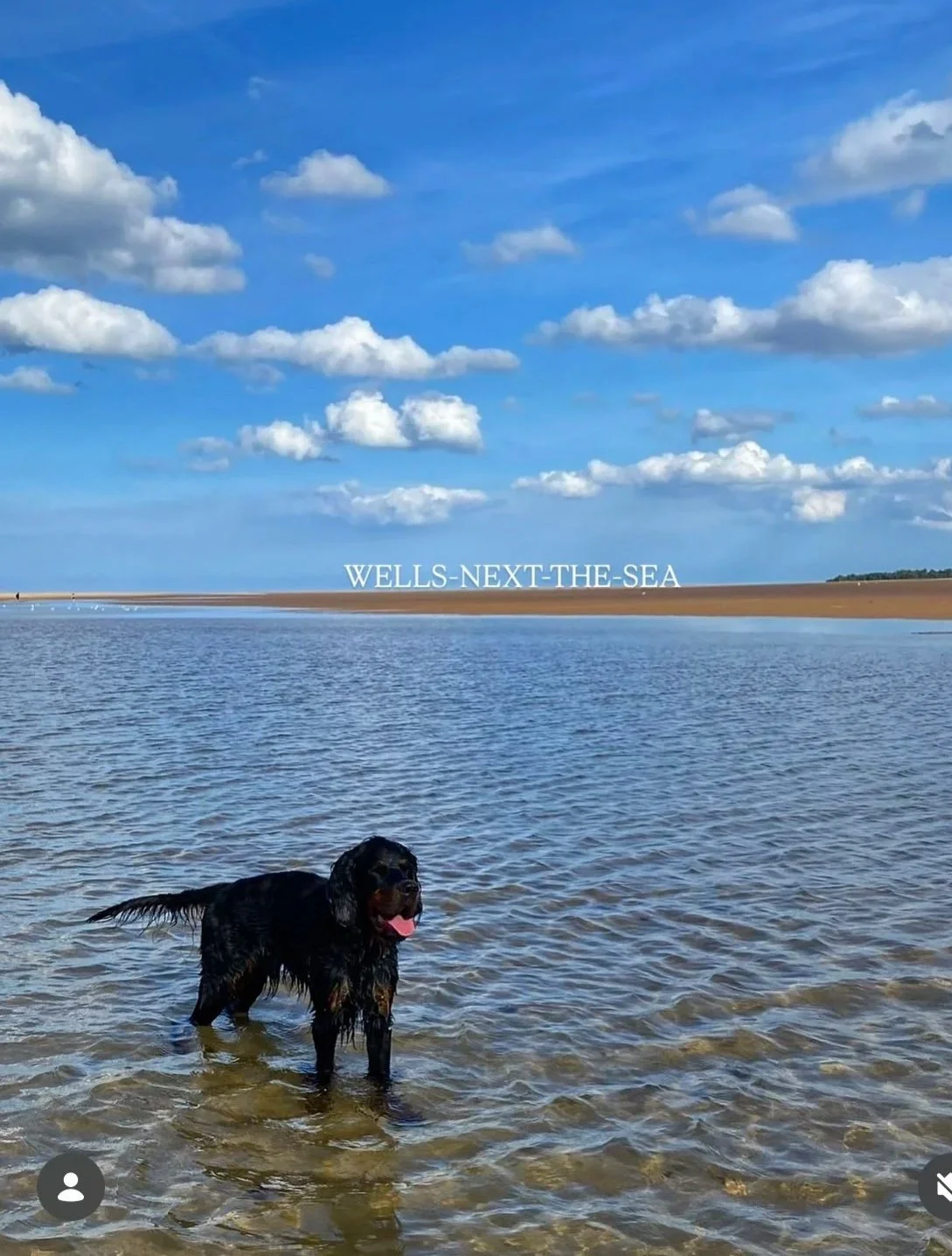 Wells+beach.jpg