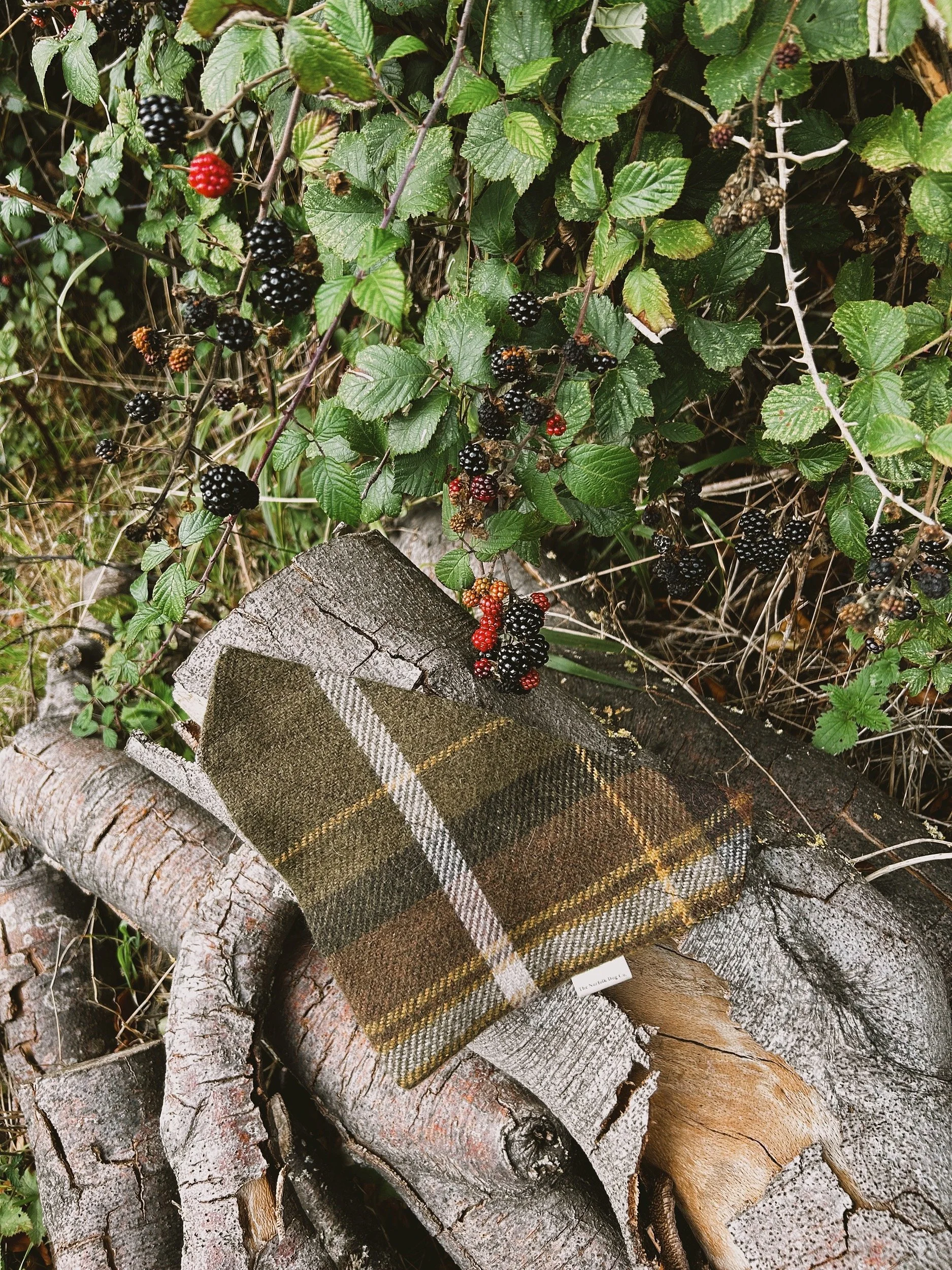 autumn bandana.JPG