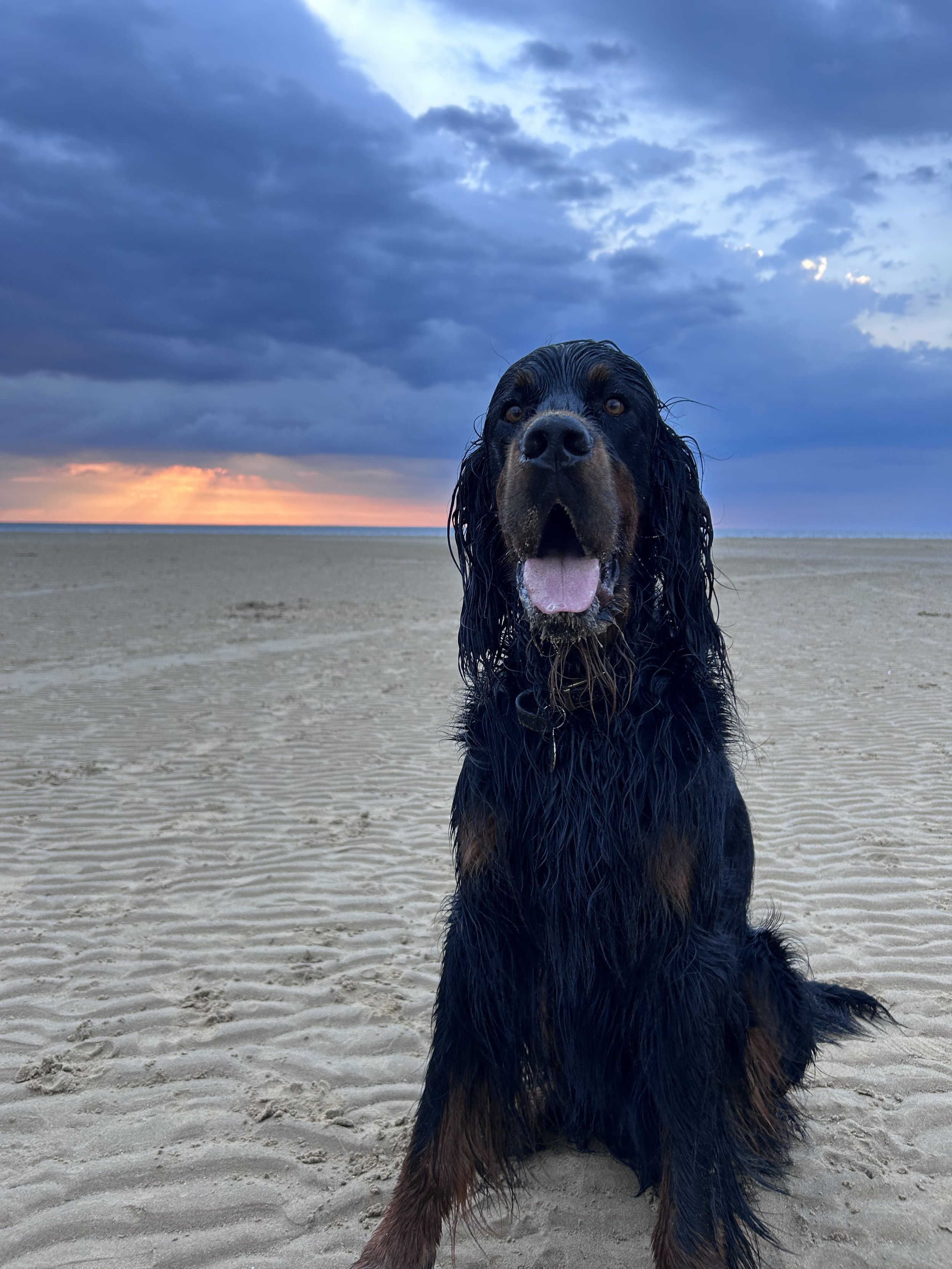 hendricks beach .jpeg