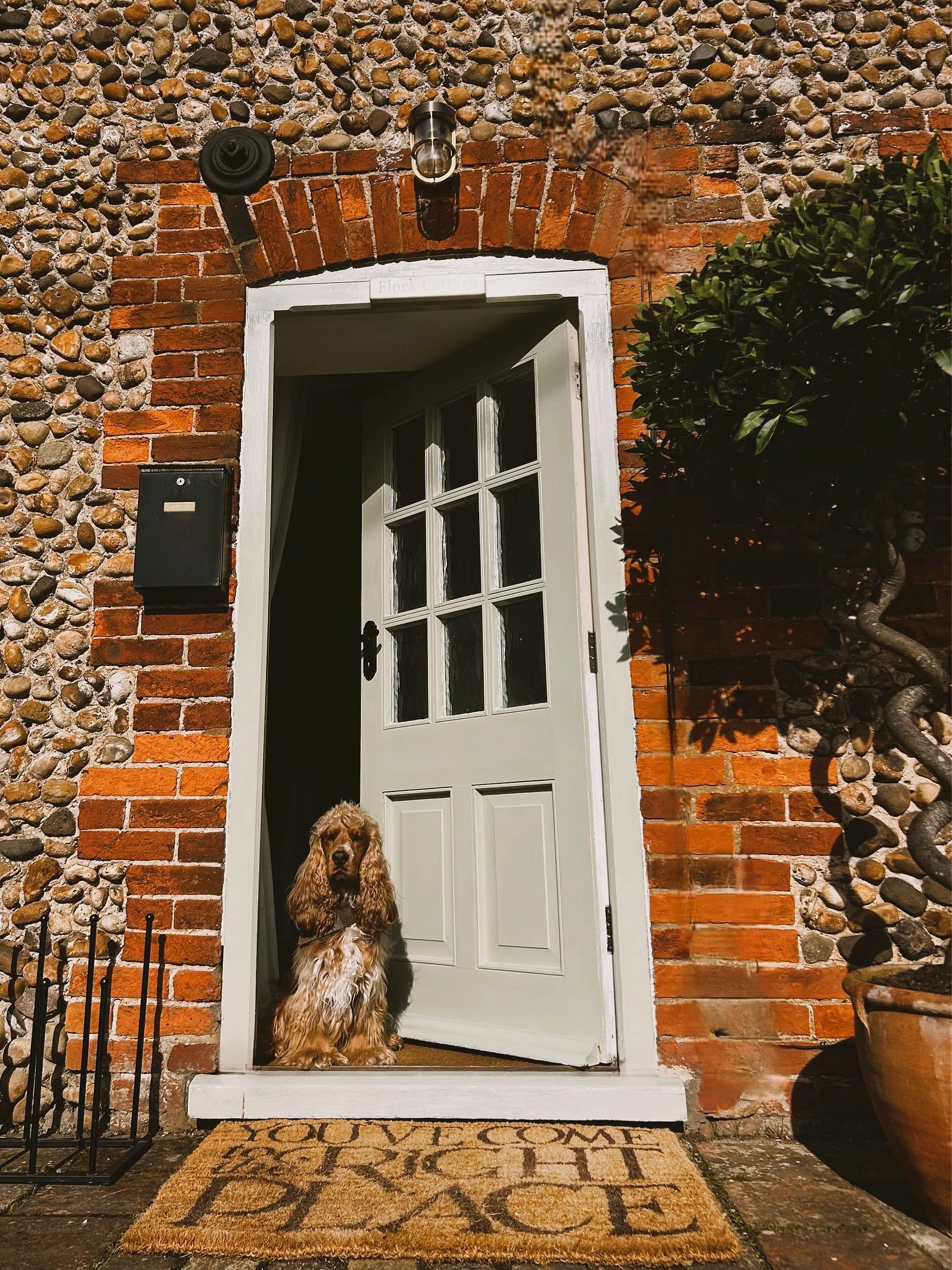 front door chester .JPG