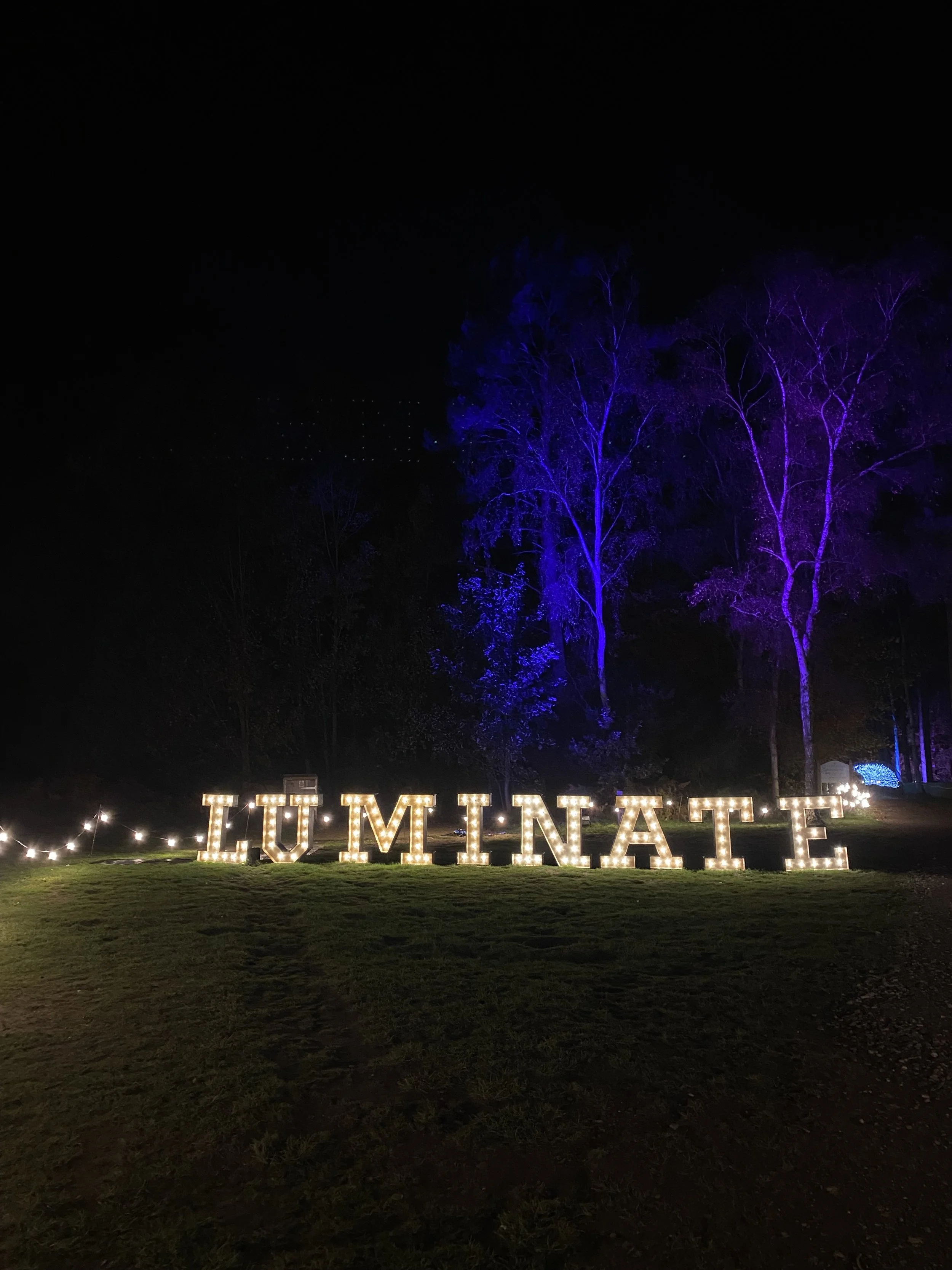 luminate1.jpeg