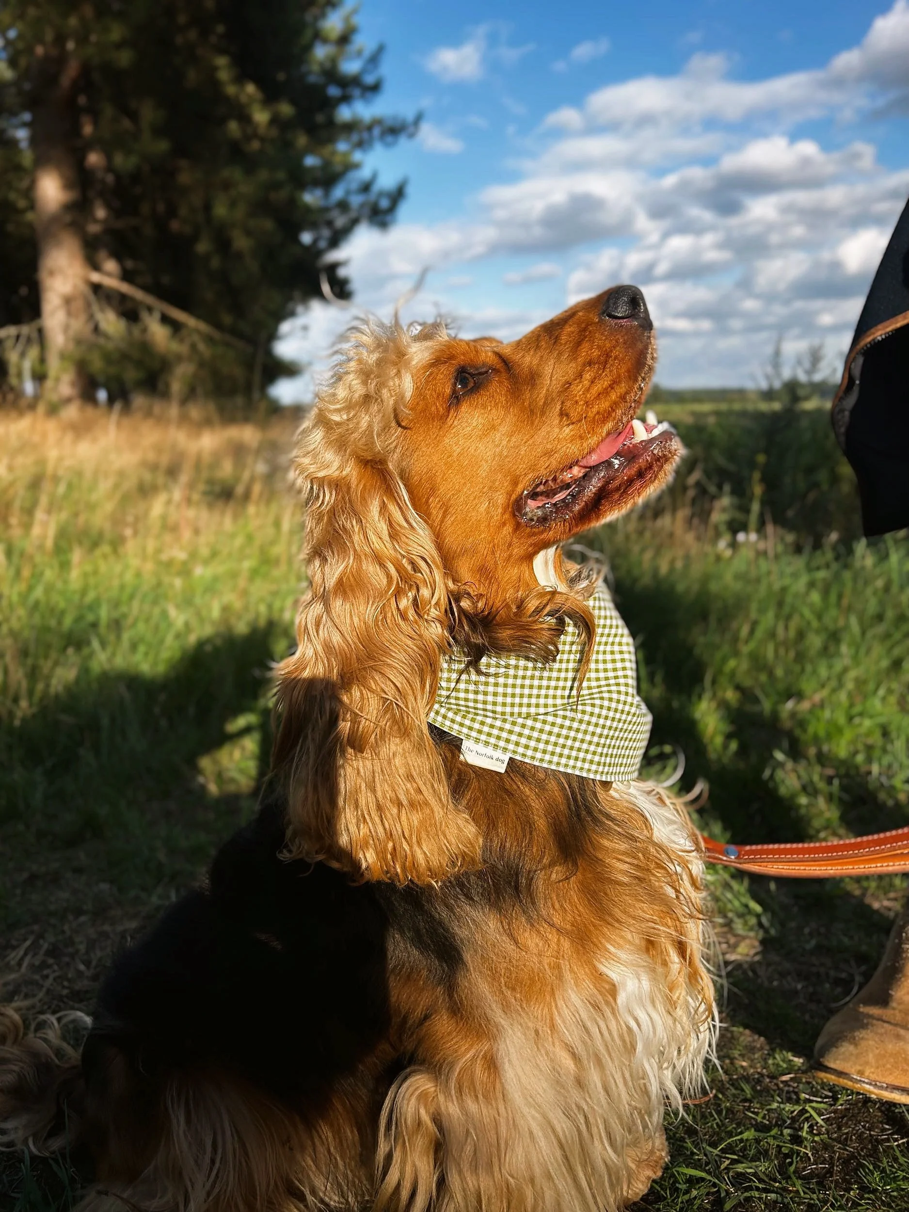 Tie on Bandanas