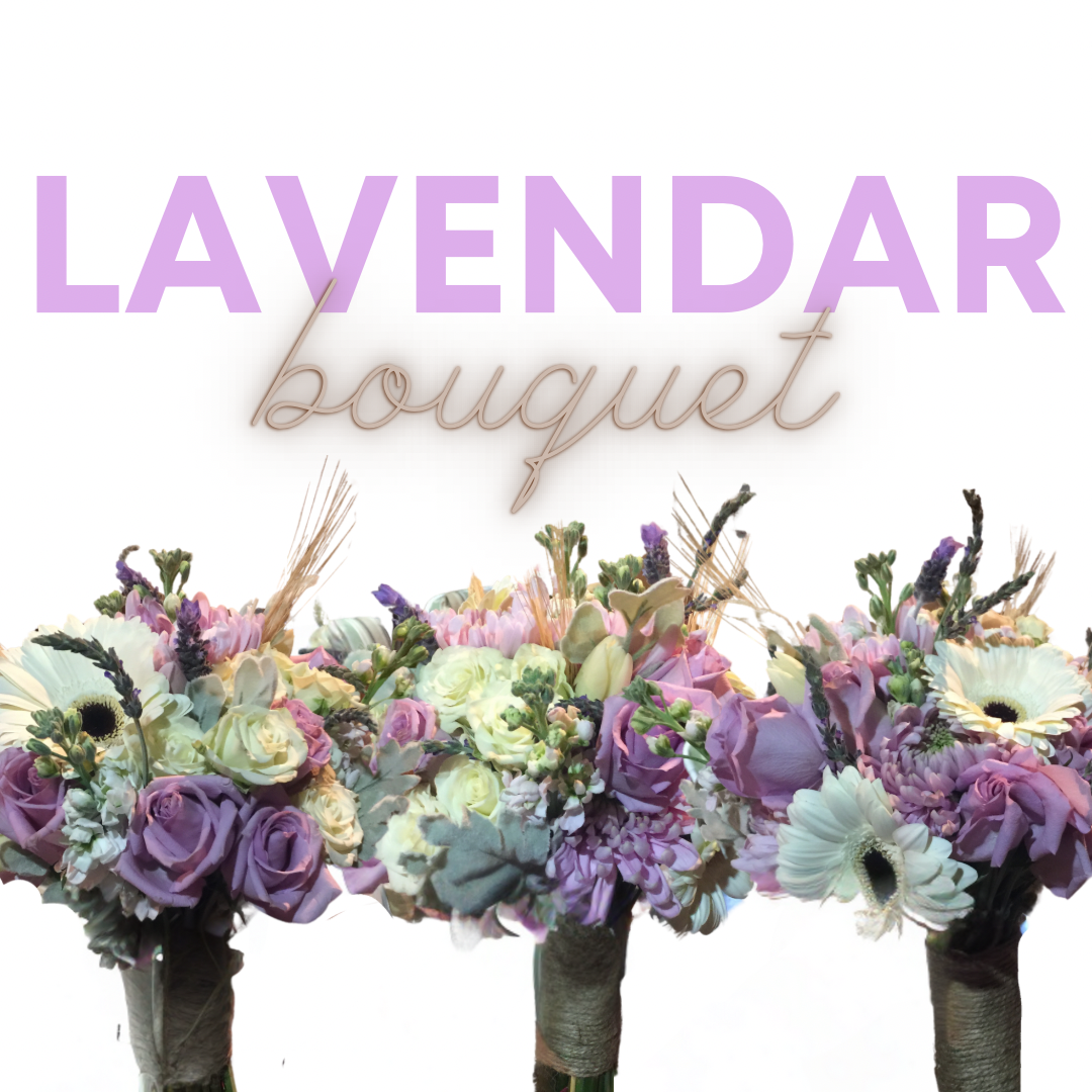 lavendar.PNG