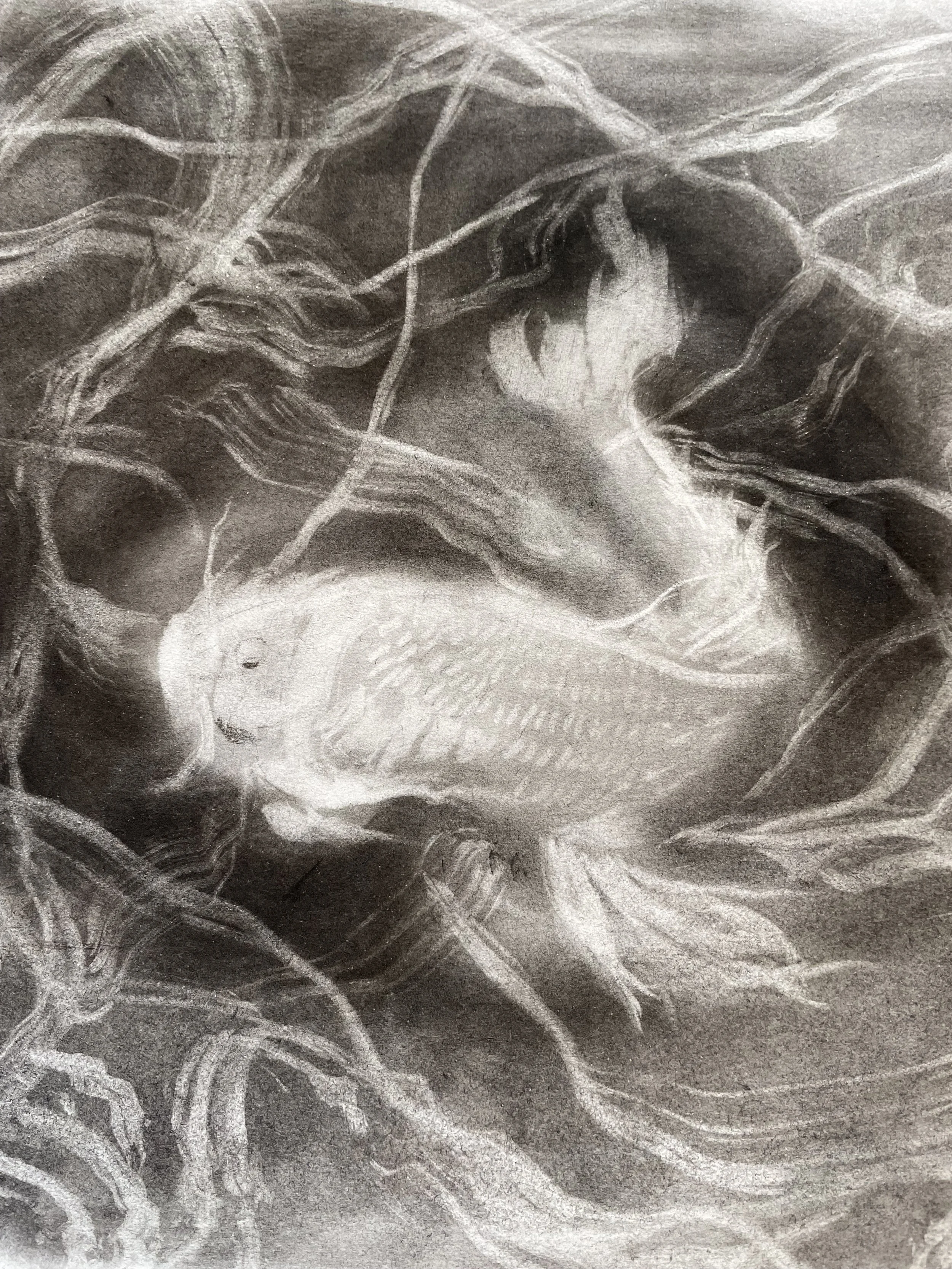 beneath the surface