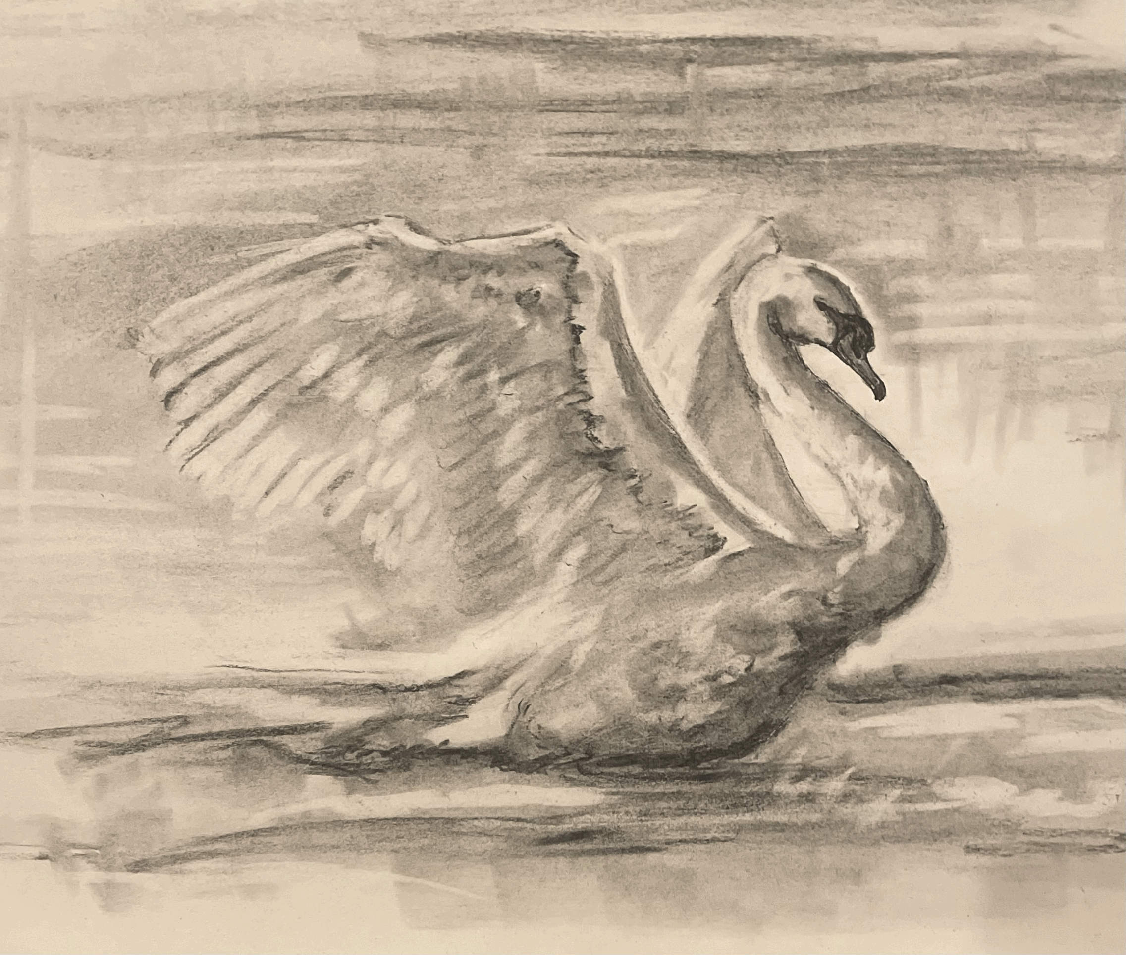 swan lake