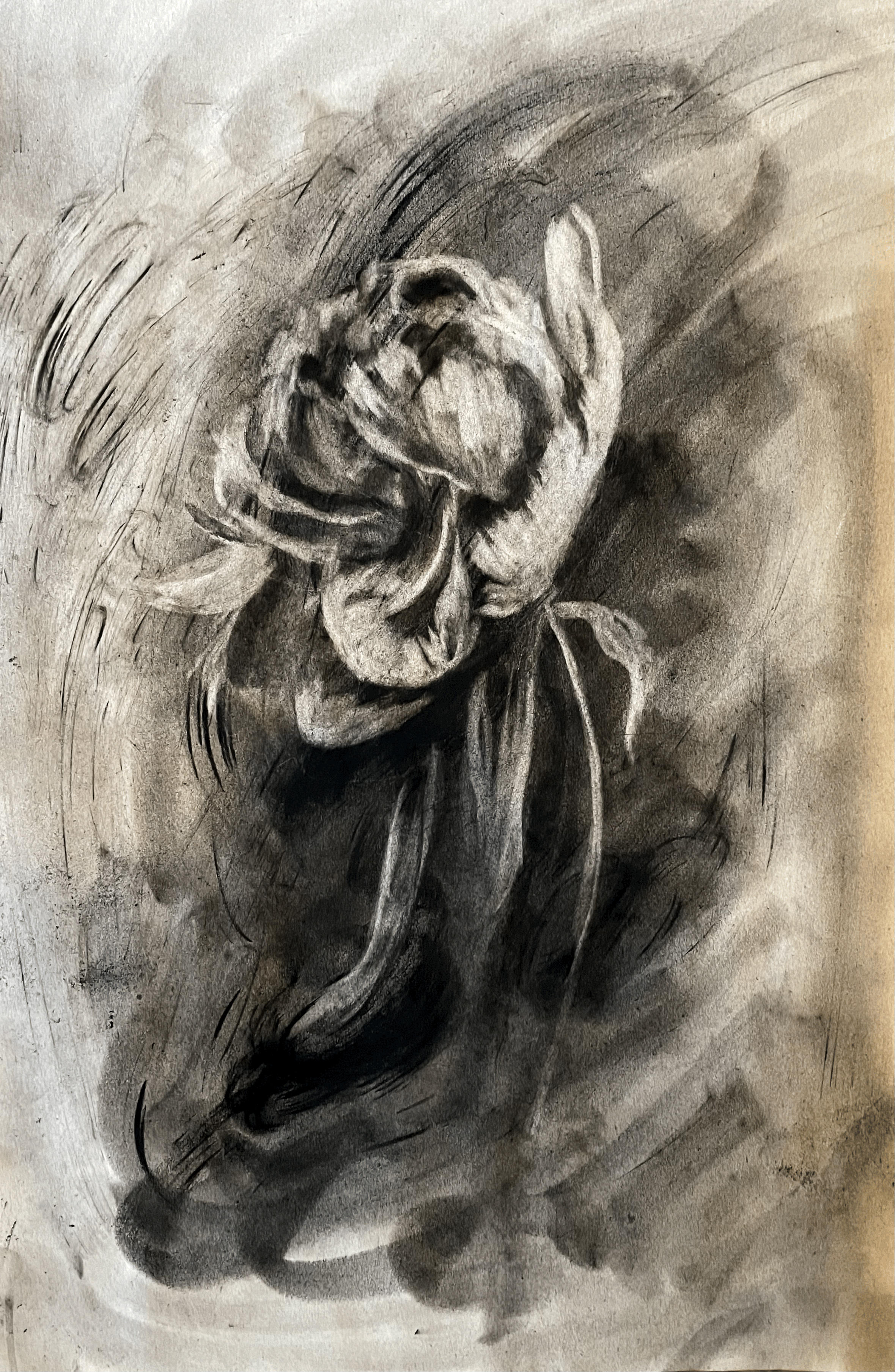 twirling peony