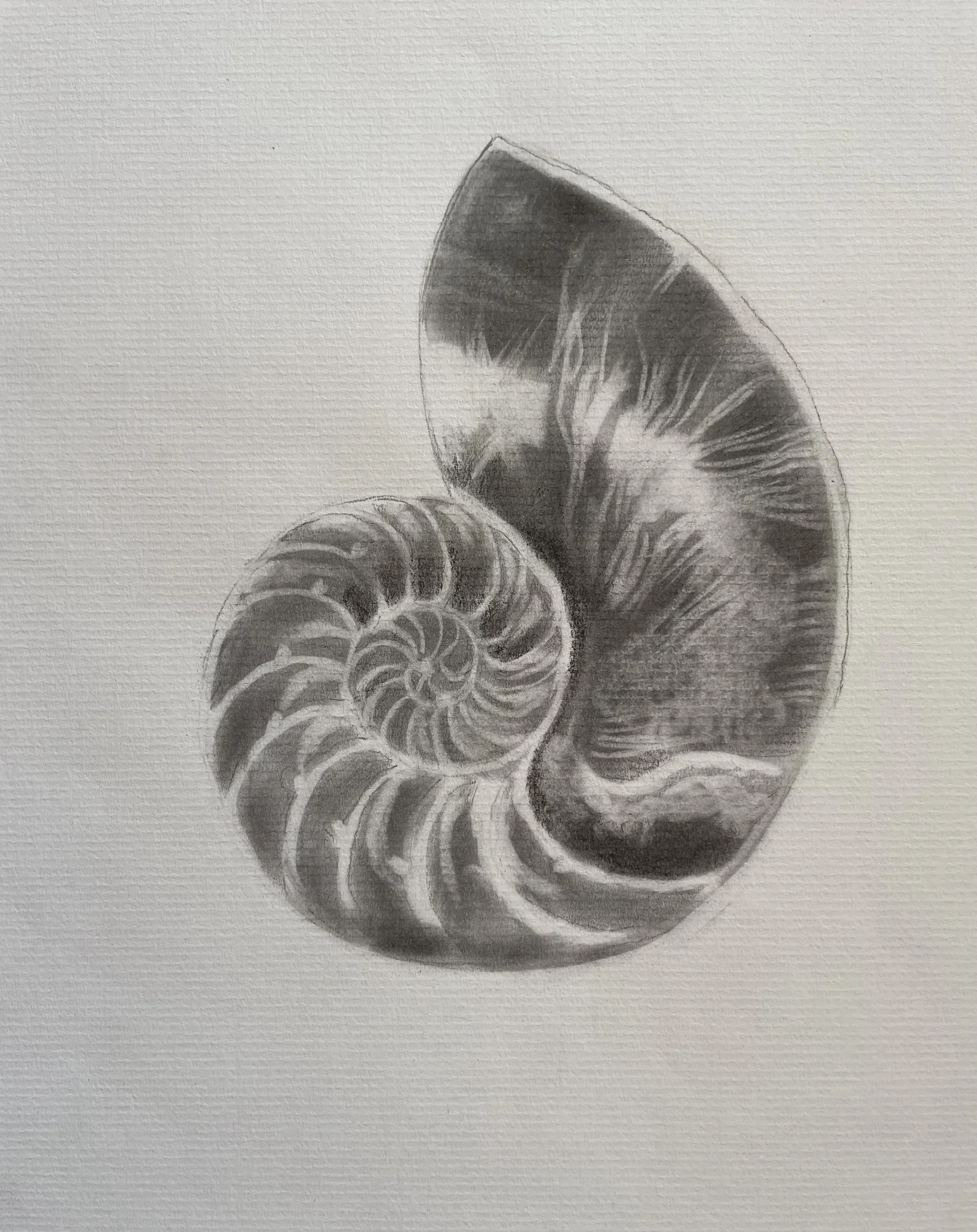 nature's form