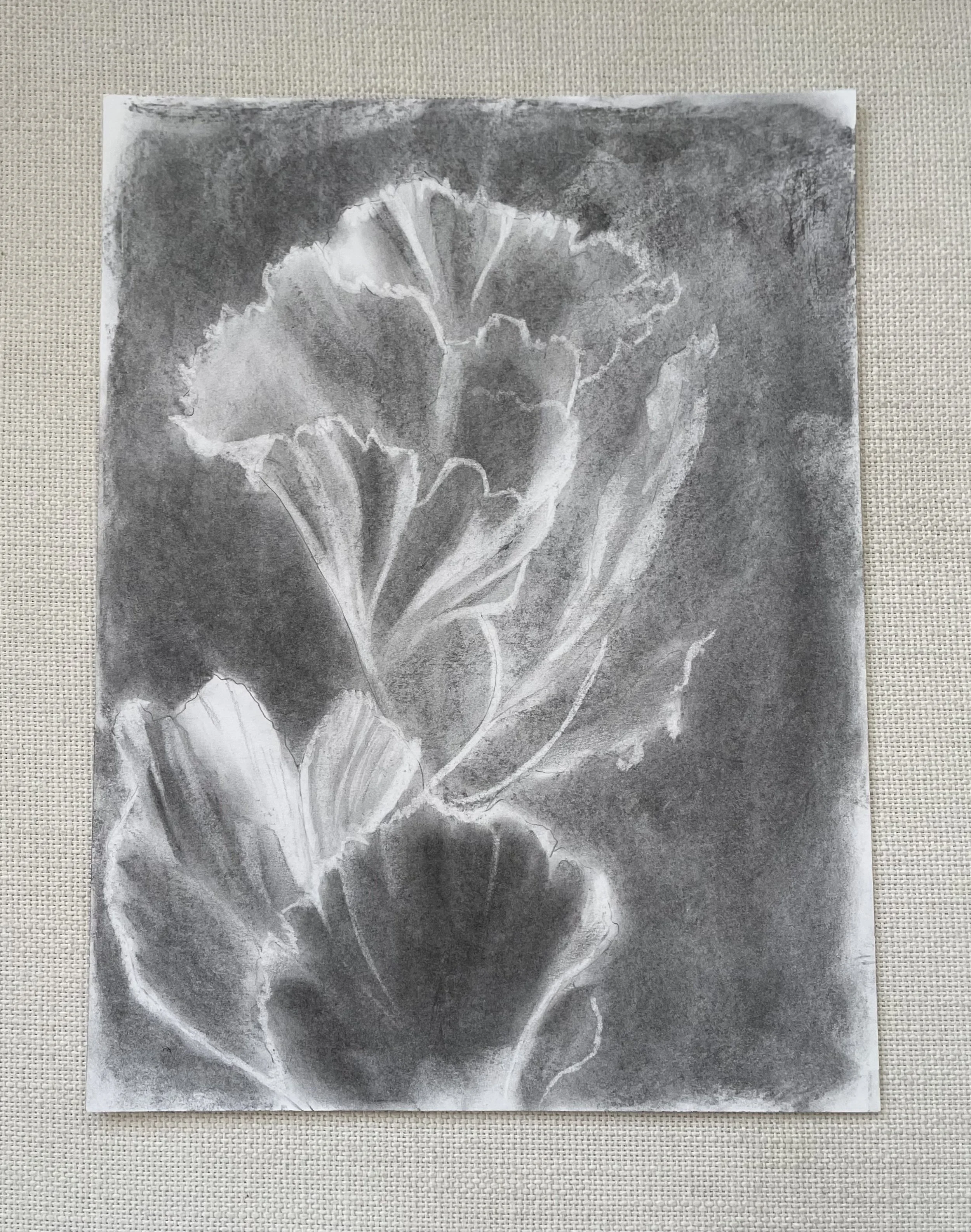 floral study