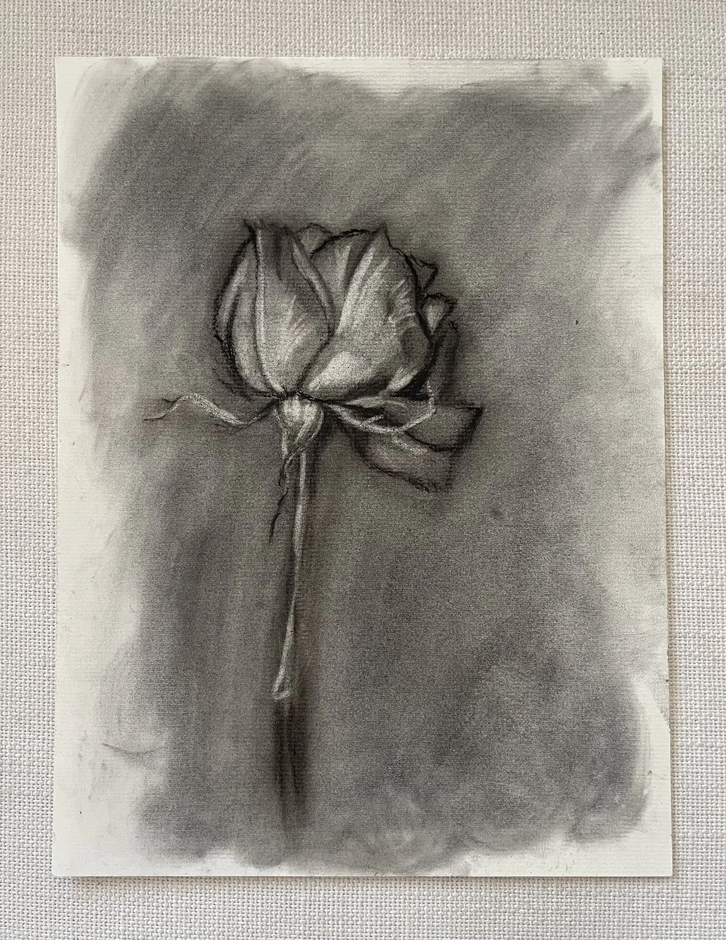 soft thorn