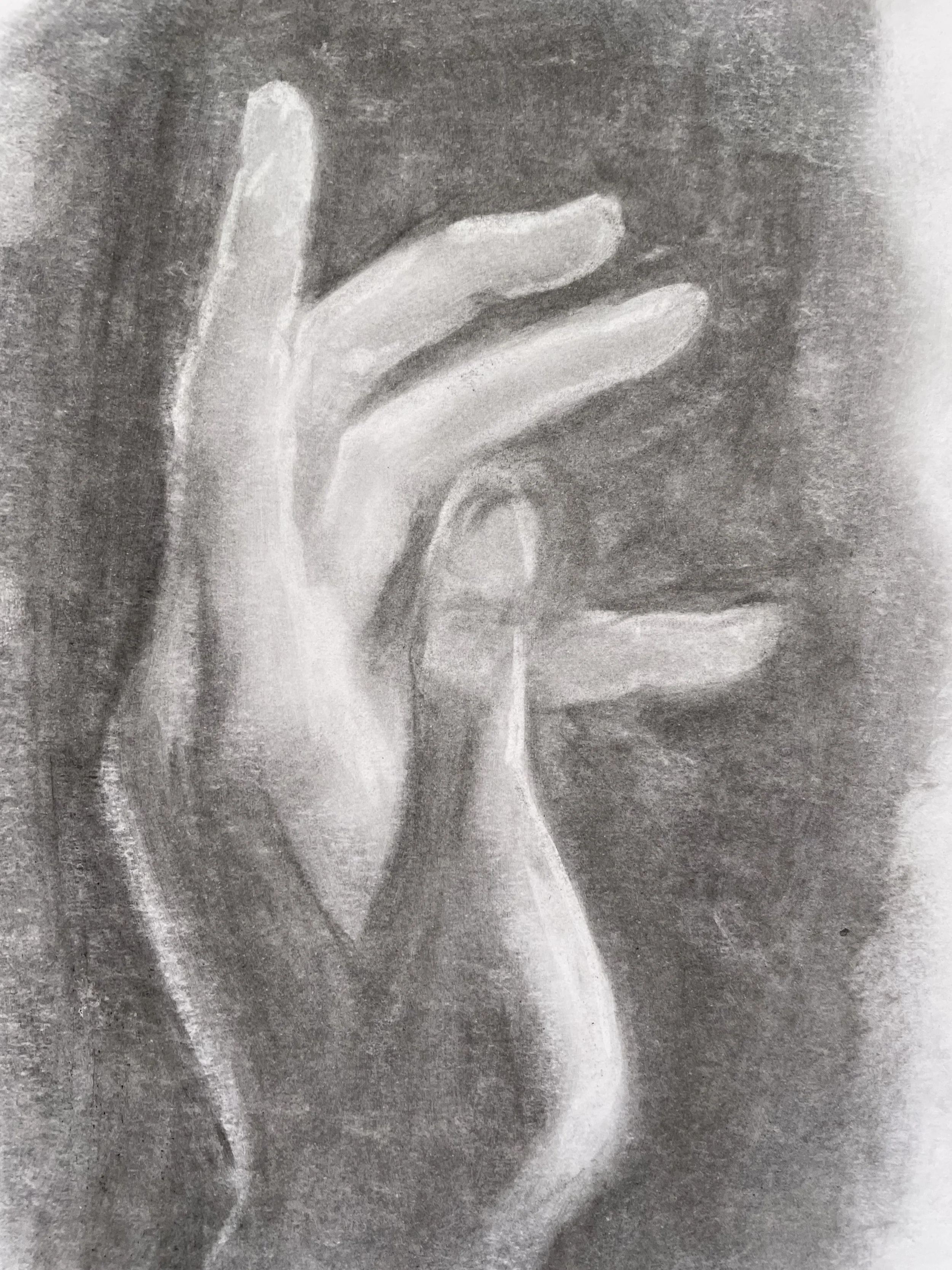 hand study no. 01