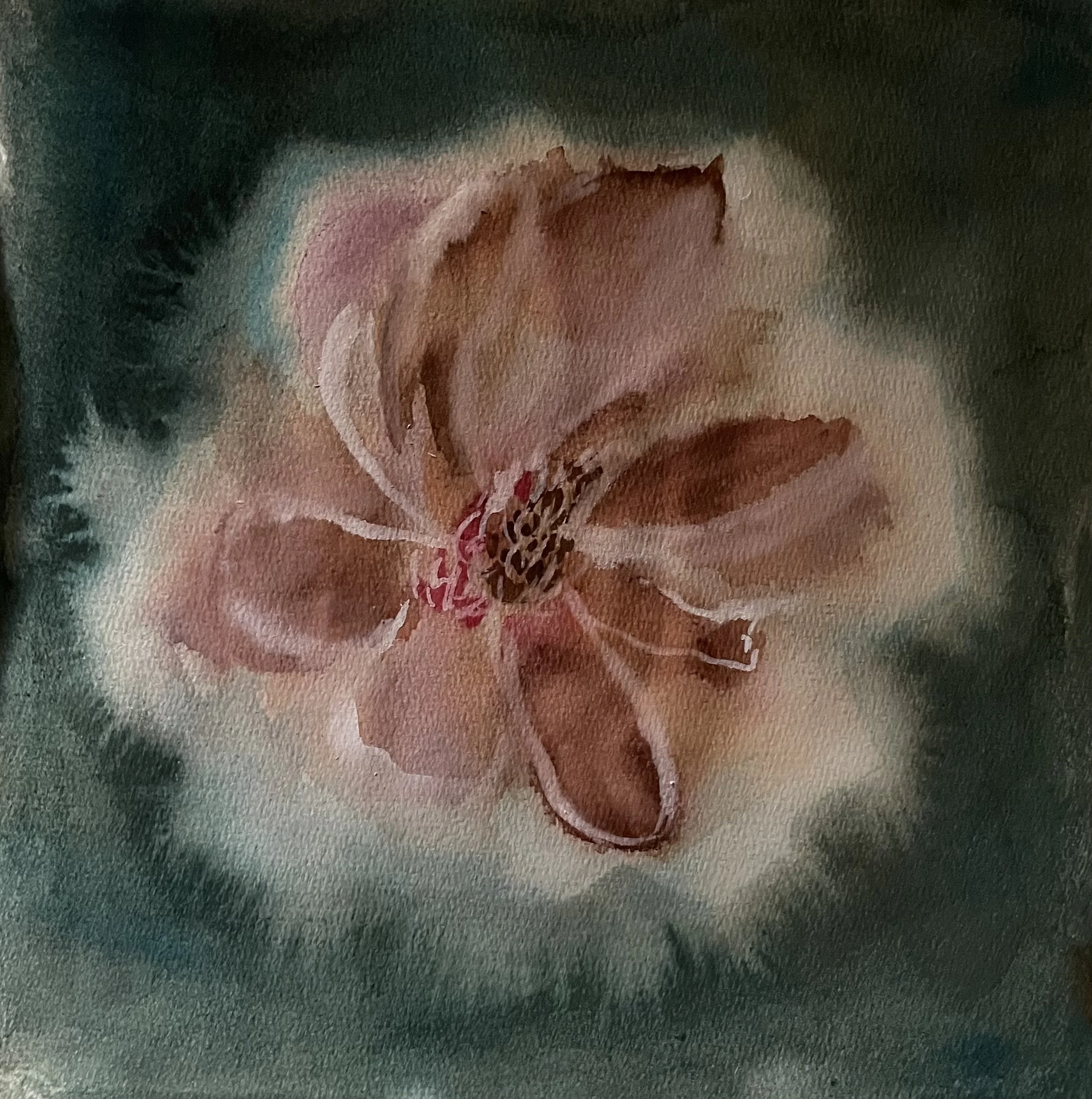 magnolia