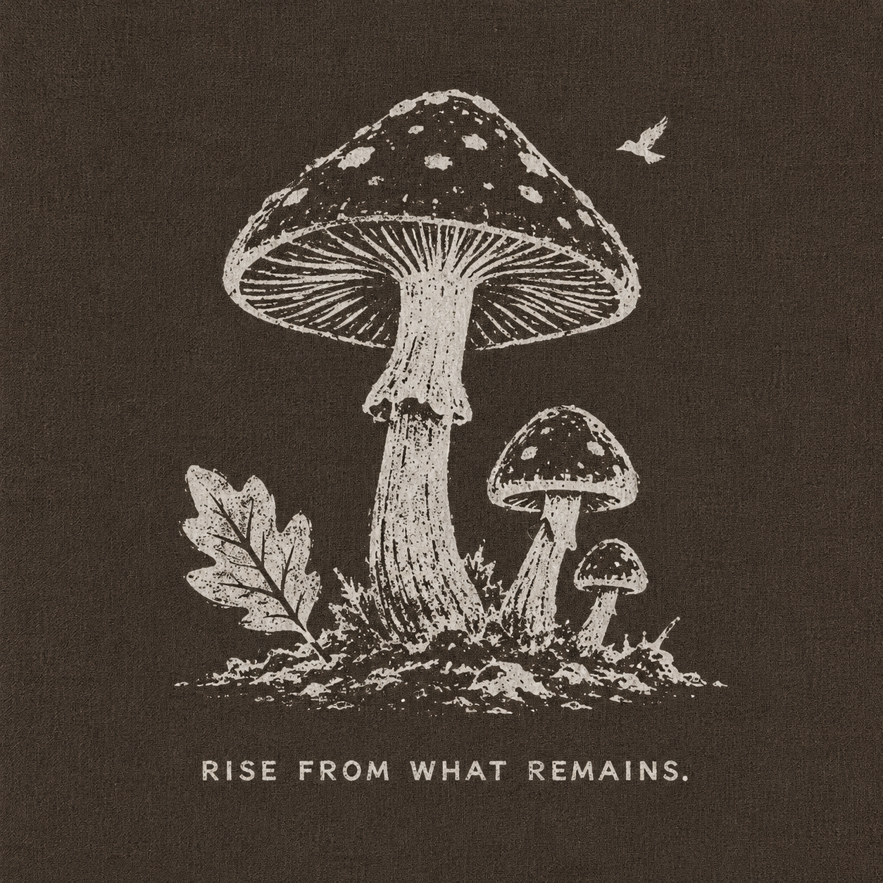 03 — RISE FROM WHAT REMAINS. Mushrooms growing from the ground. Public-domain design; adapt, translate, reuse.