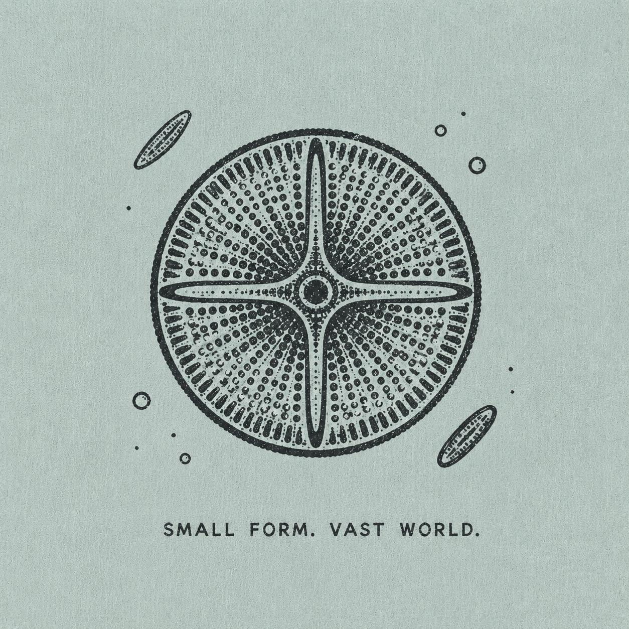 12 — SMALL FORM. VAST WORLD. Microscopic circular form with small drifting bodies. Public-domain design; adapt, translate, reuse.