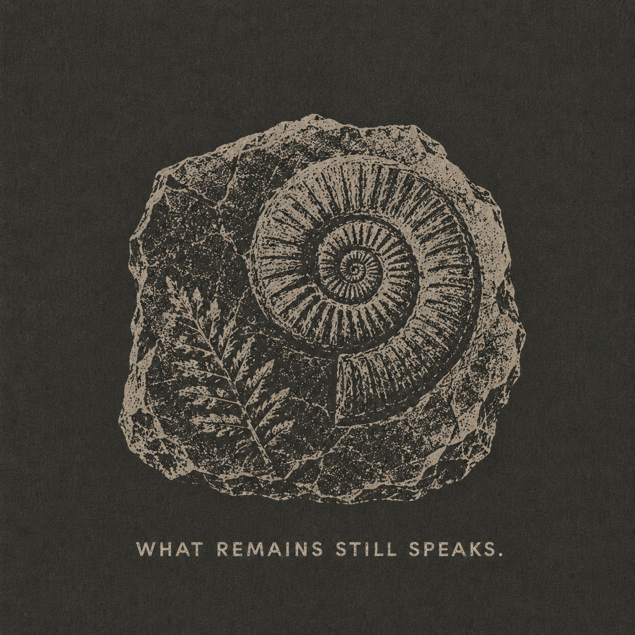 15 — WHAT REMAINS STILL SPEAKS. Fossil shell and plant trace. Public-domain design; adapt, translate, reuse.