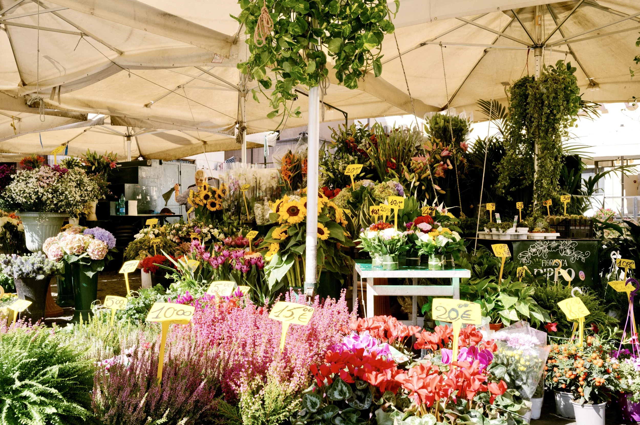Colourful flower stall at Campo de’ Fiori market in Rome with locals browsing blooms and morning light falling across cobblestones