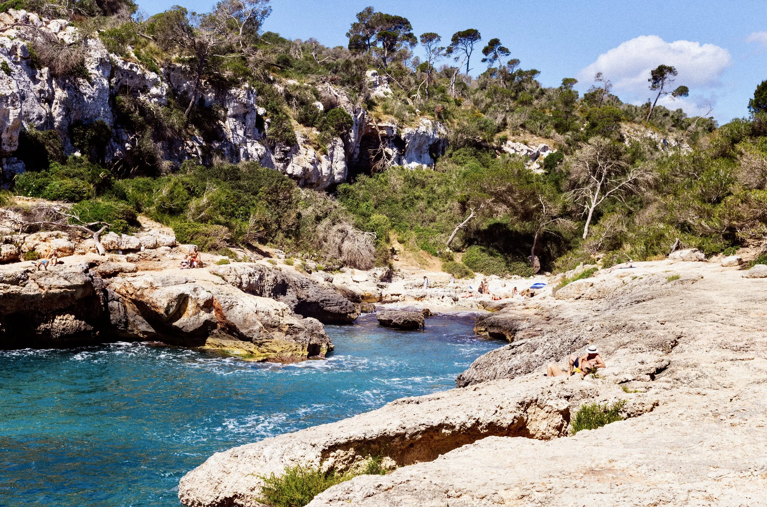 Sunbathers on limestone rocks beside a deep blue inlet framed by pine trees in Mallorca