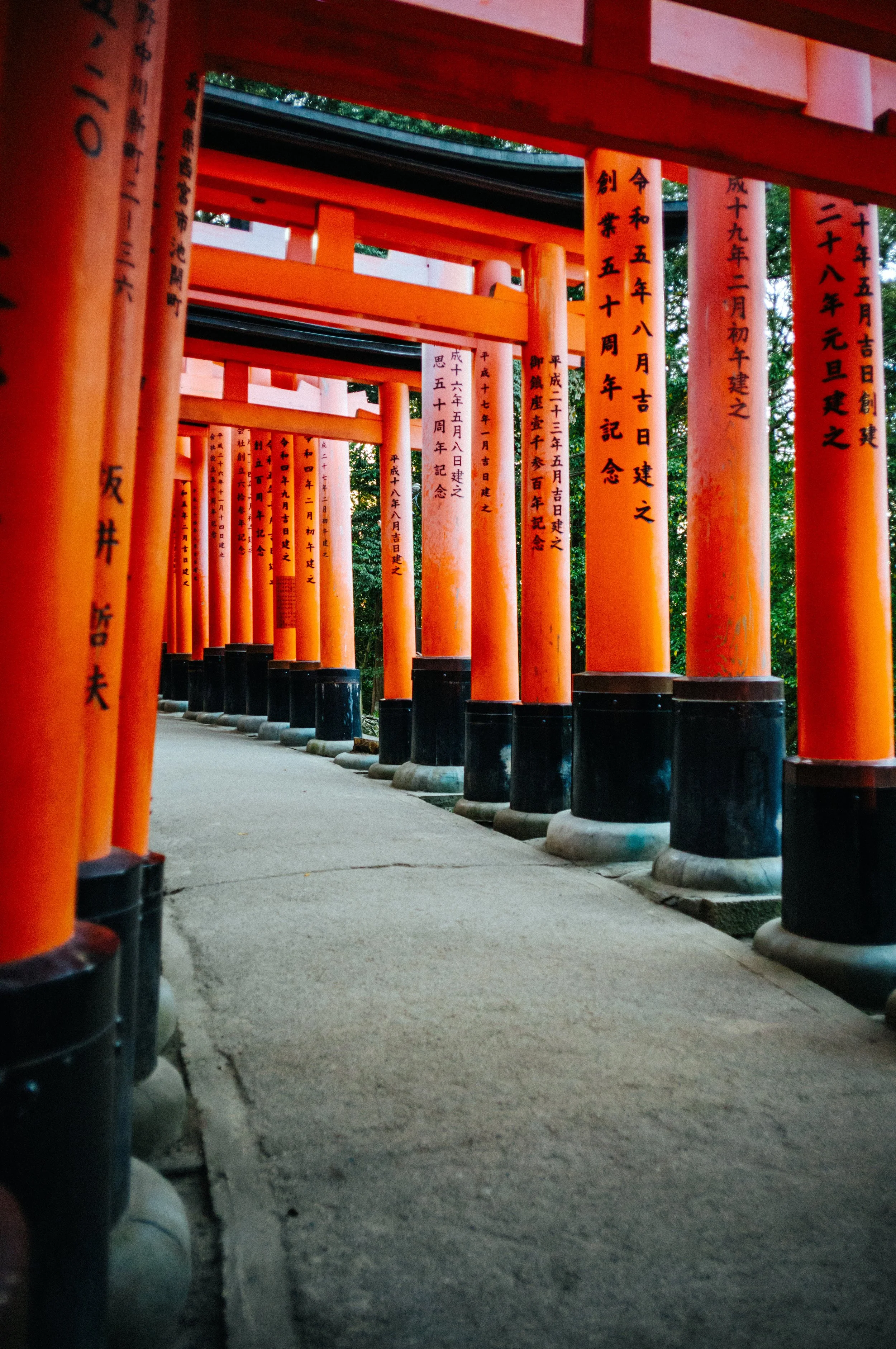 Thousands of vermilion torii gates forming tunnels at Fushimi Inari Taisha in Kyoto.