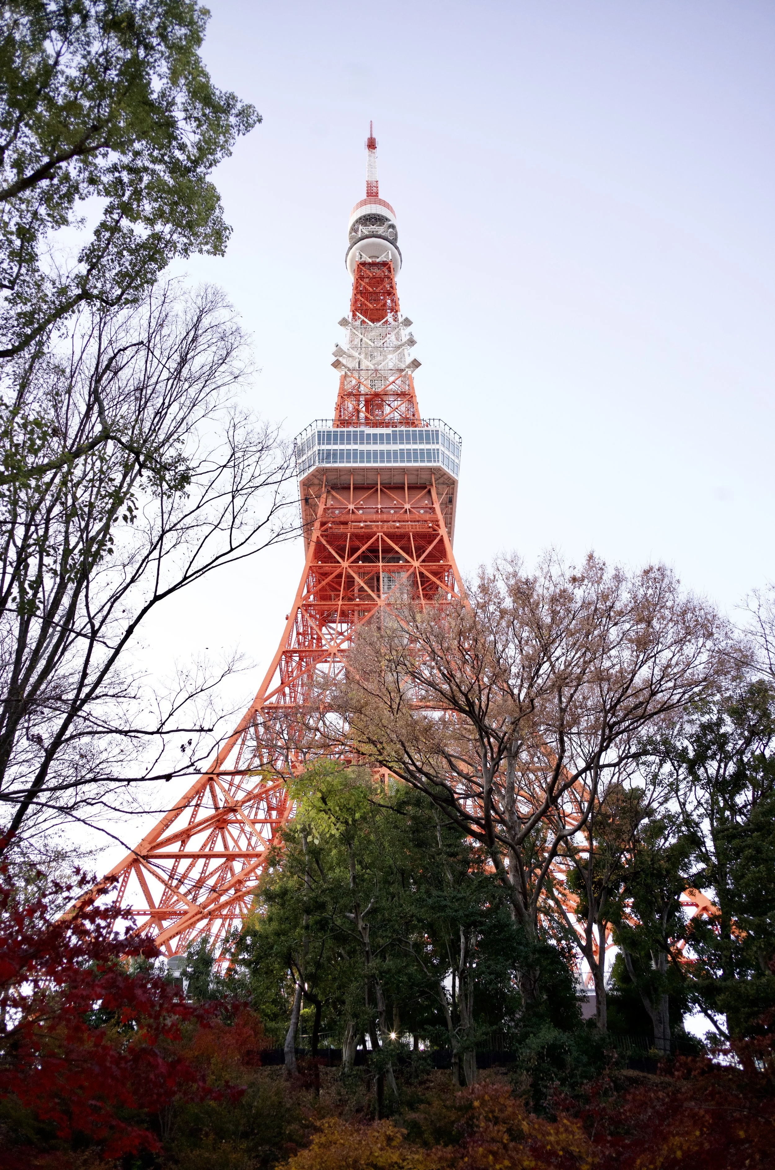 Tokyo Tower rising above colourful autumn trees and a quiet park during late afternoon in Tokyo.