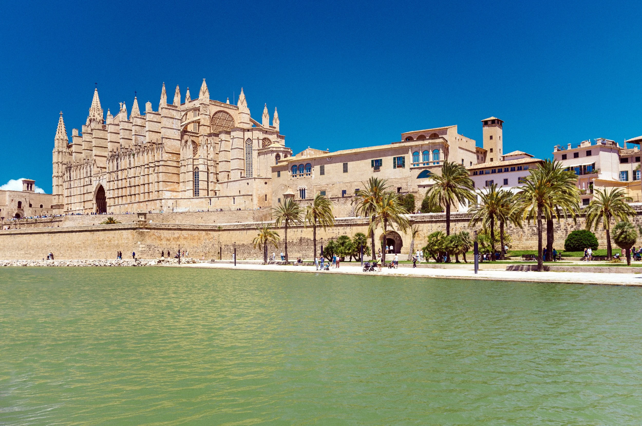 The Gothic La Seu Cathedral reflected in the Parc de la Mar lake in Palma de Mallorca