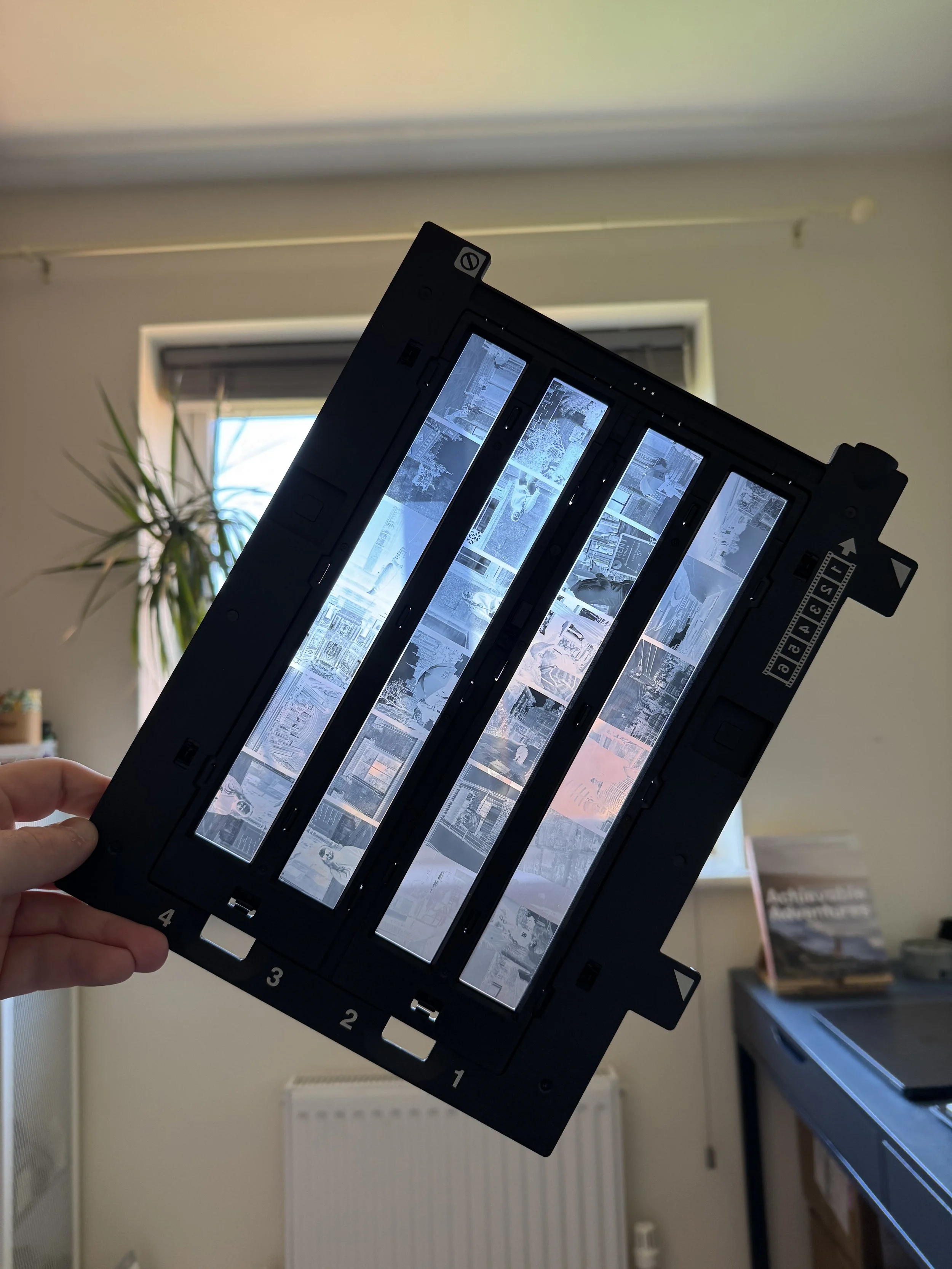 Developed 35mm film negatives after home processing, held up to the light ready to scan and edit