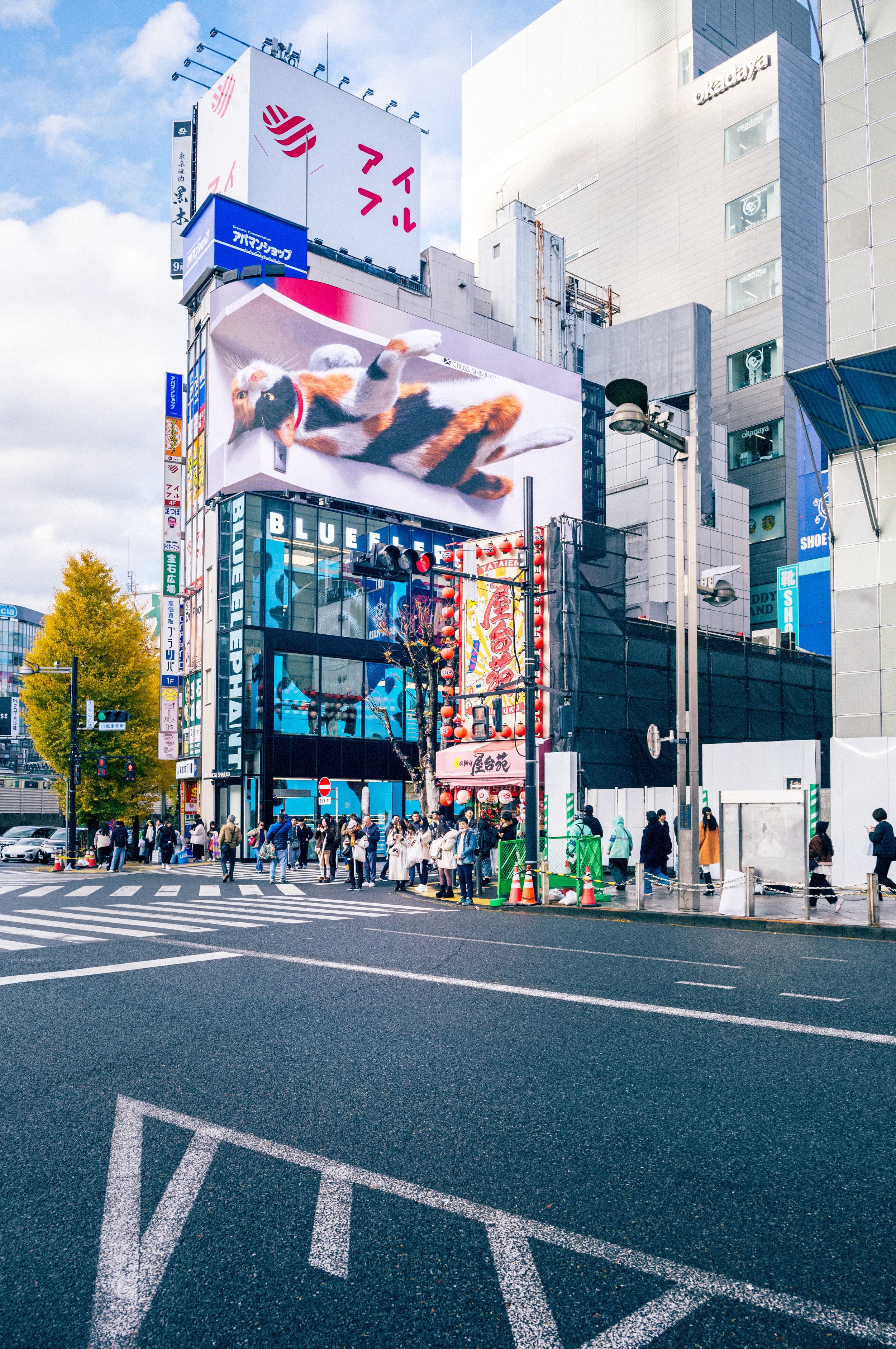 Large 3D cat billboard above busy streets and pedestrians in Shinjuku Tokyo during daytime.